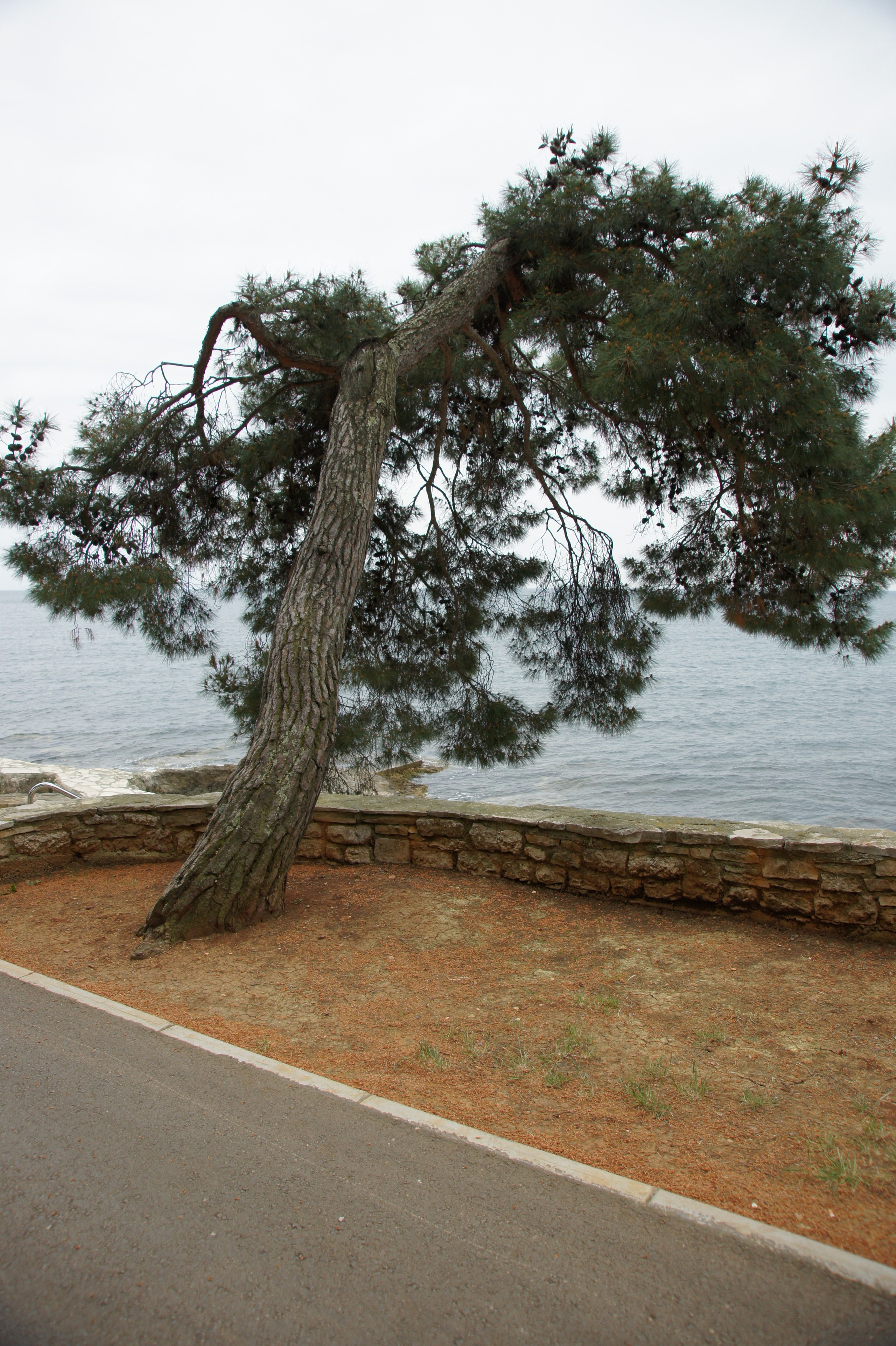 Хорватия. Главная