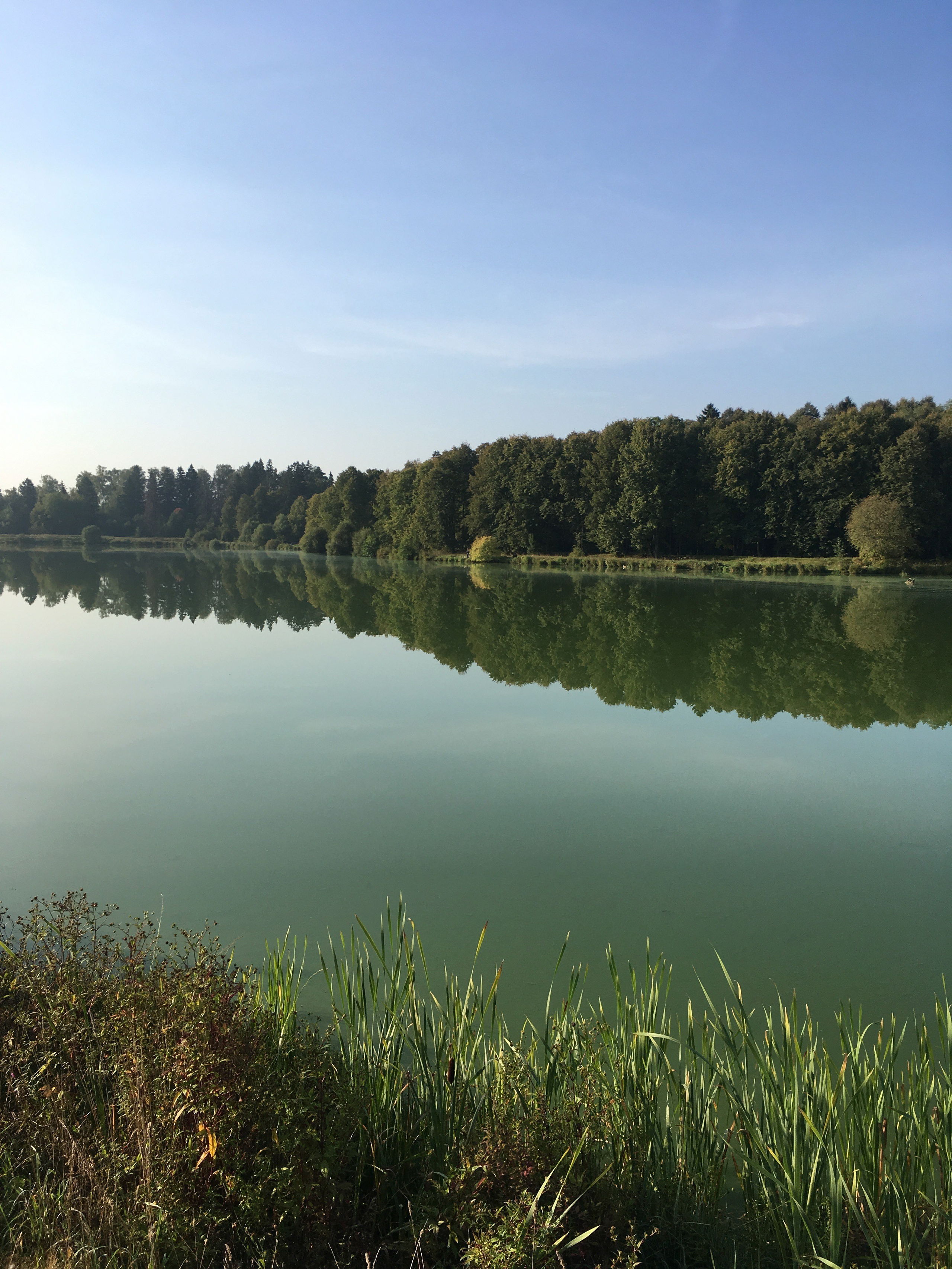 Молоди-19. Своя Мастерская