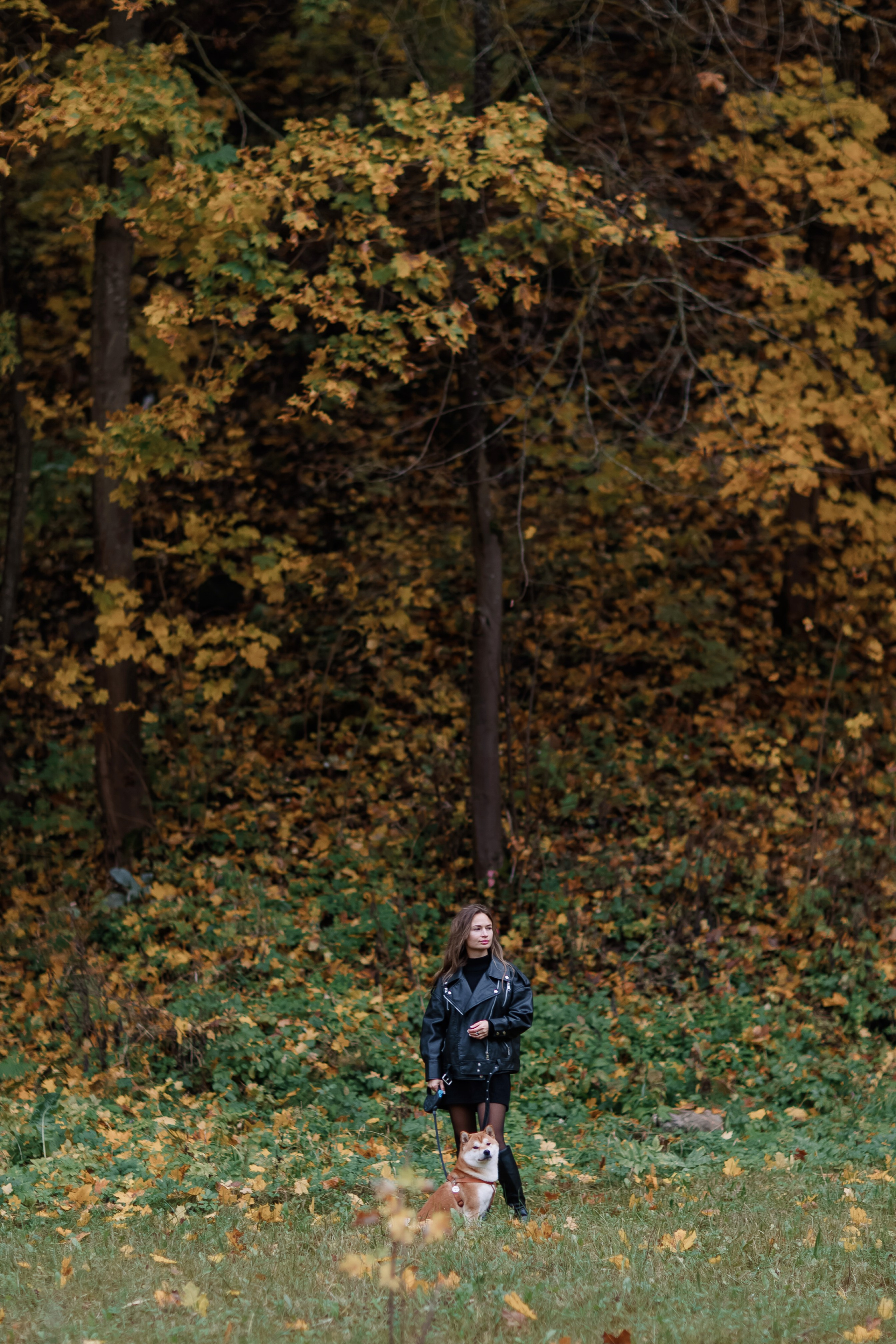 Юлия. Свадебный фотограф