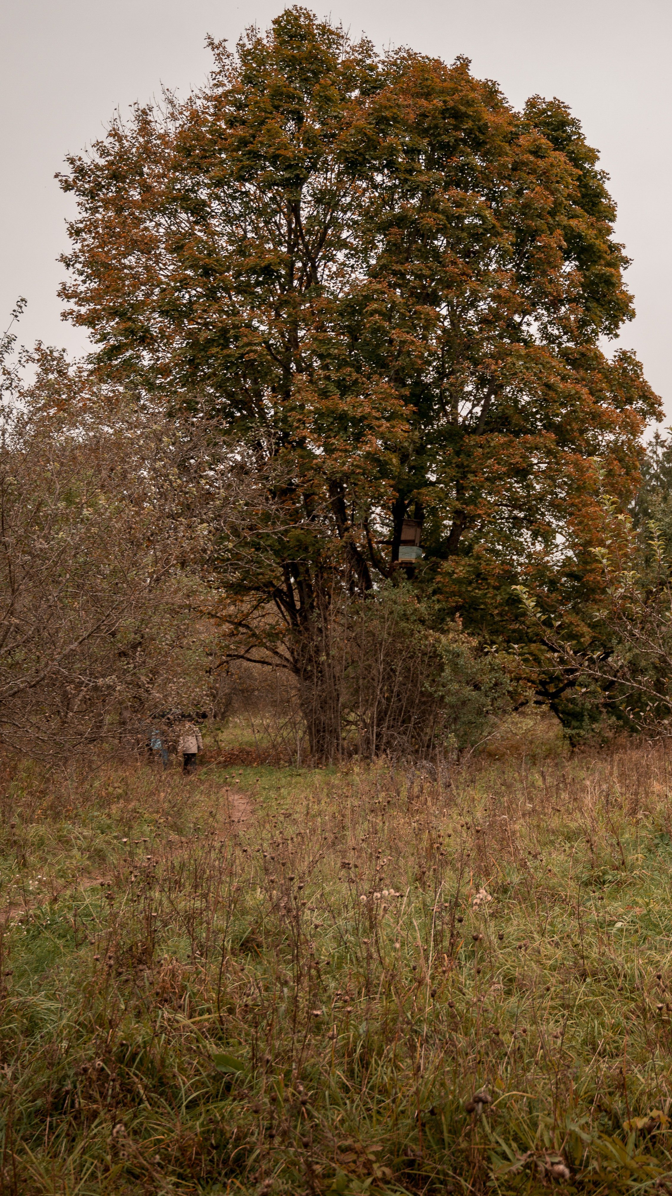 Места. Фотограф в Минске Дарья Кончакова