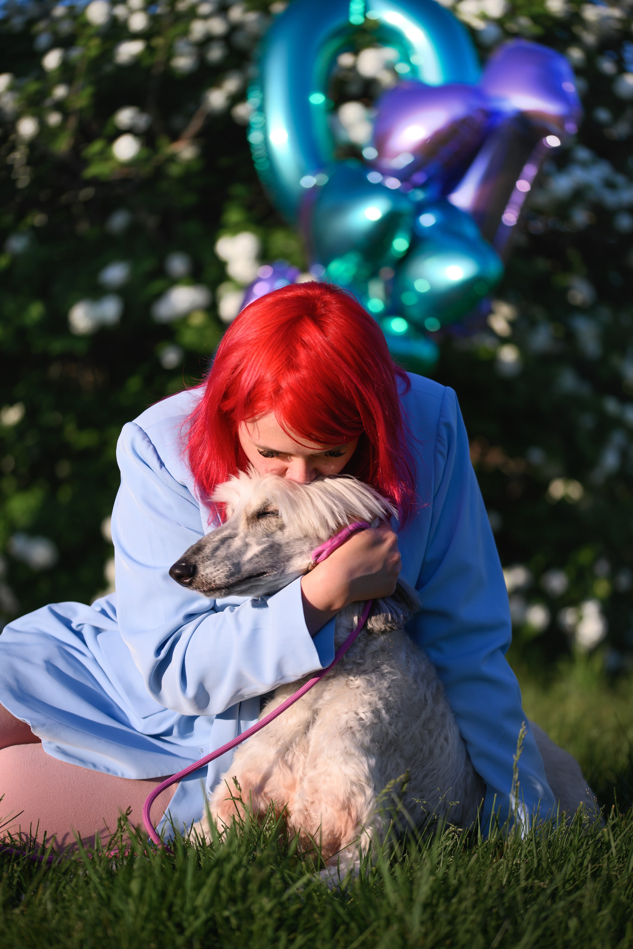 Собаки. FASHION ФОТОГРАФ КАЗАНЬ