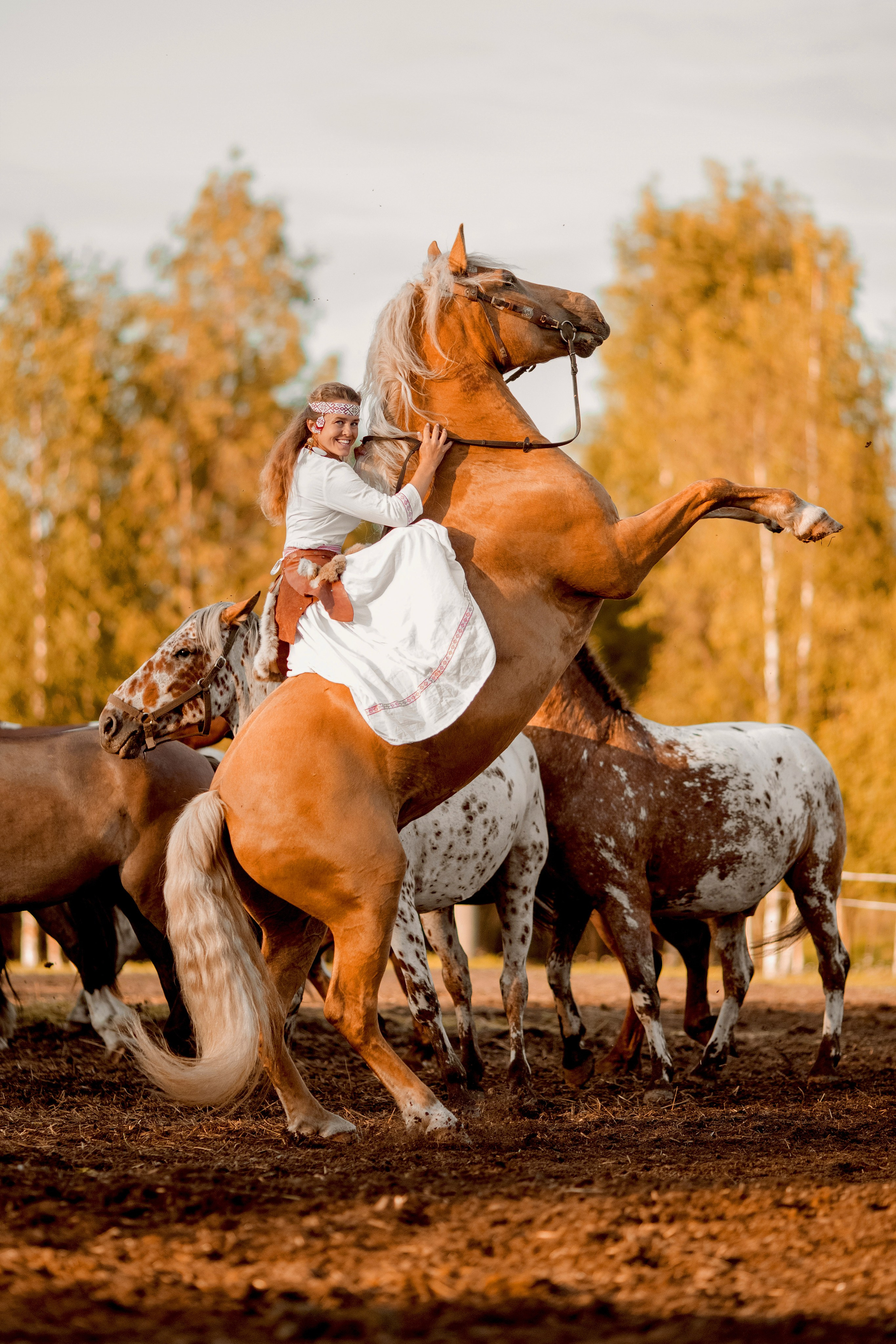 Фотосессия в табуне лошадей