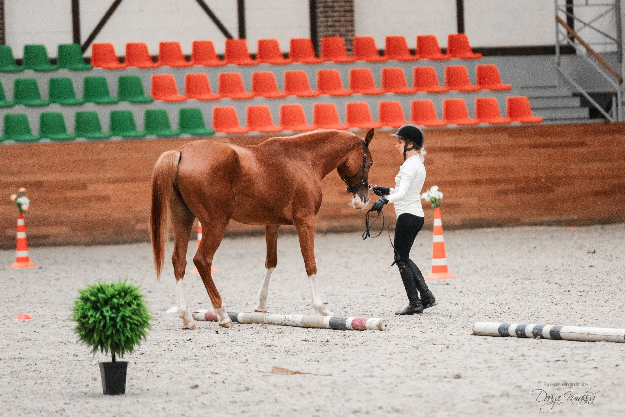 8-я международная выставка Конная Россия. Конный фотограф Куракина Дарья • Фотосессии с лошадьми