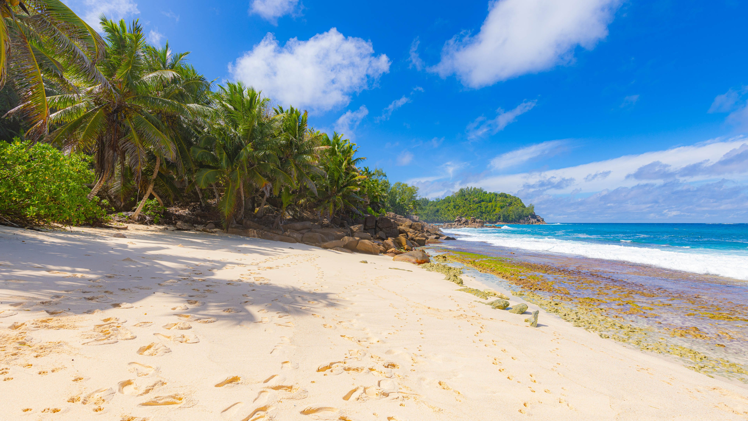 2025 07 Сейшелы (Маэ). Фотографии