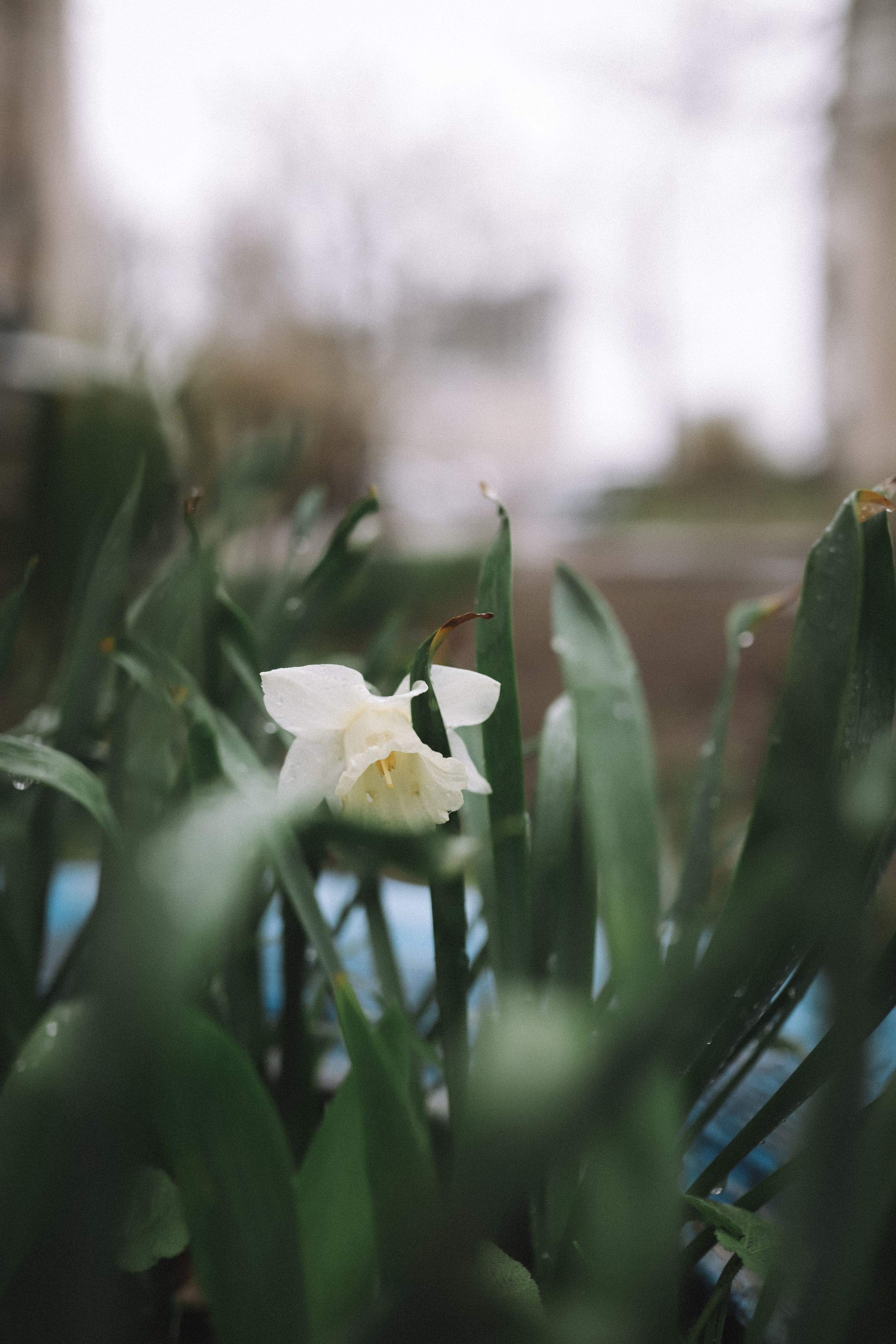 Люба. Фотограф в Нижнем Новгороде Кристина Батанова