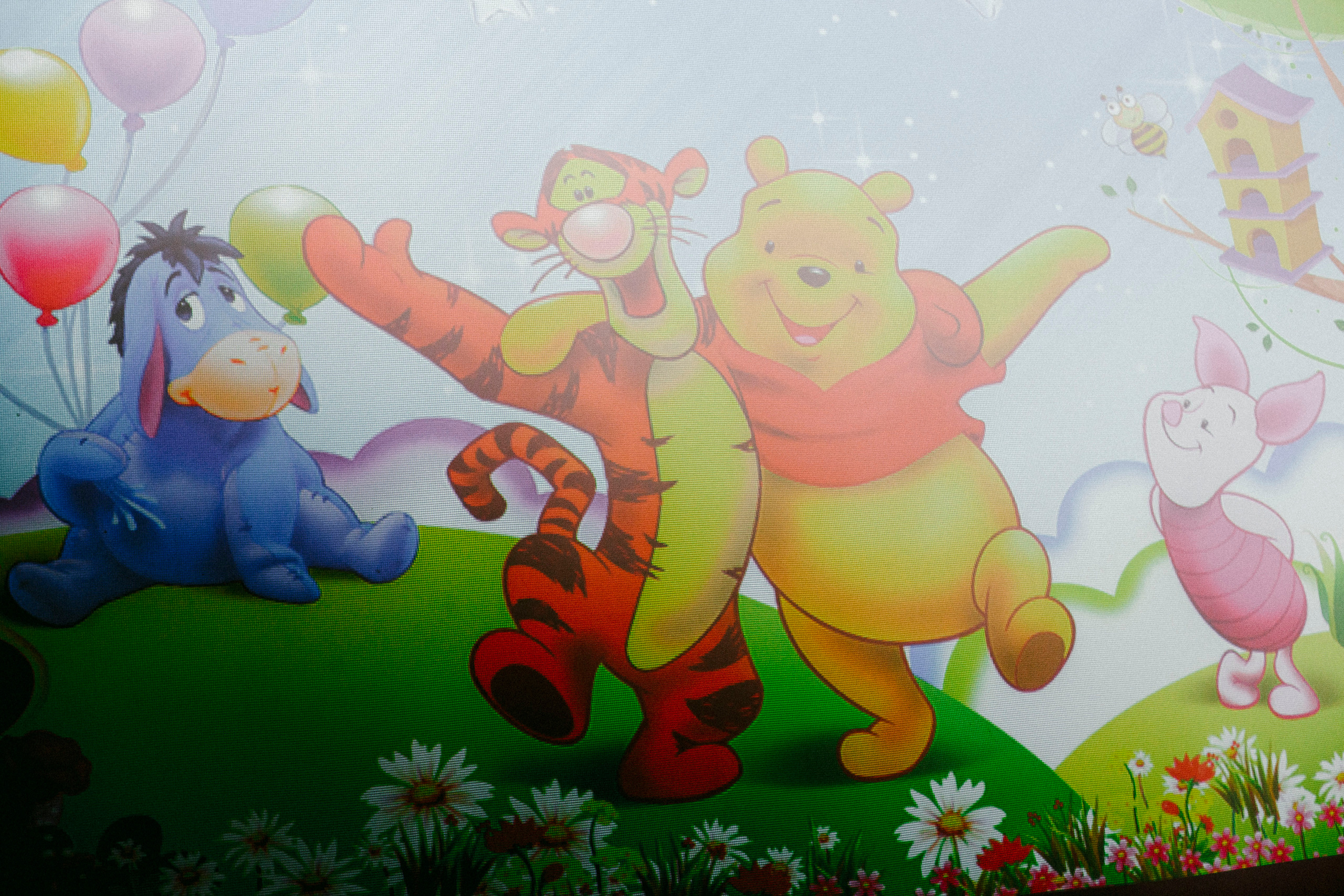 День рождения. Stanislav Baryshev — People. Emotions. Atmosphere