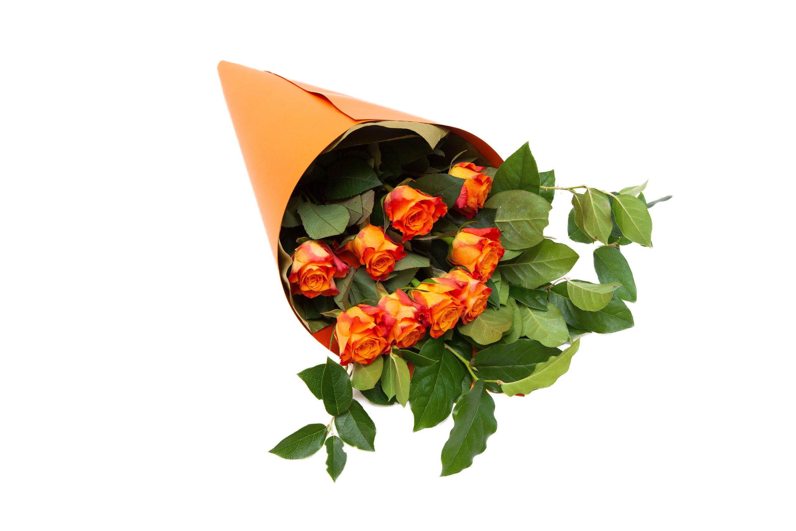 Flowers. Stanislav Baryshev — People. Emotions. Atmosphere