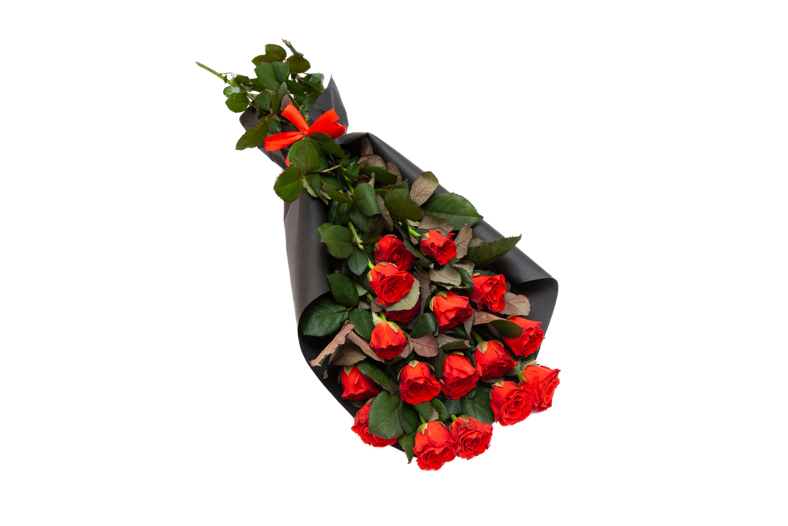 Flowers. Stanislav Baryshev — People. Emotions. Atmosphere