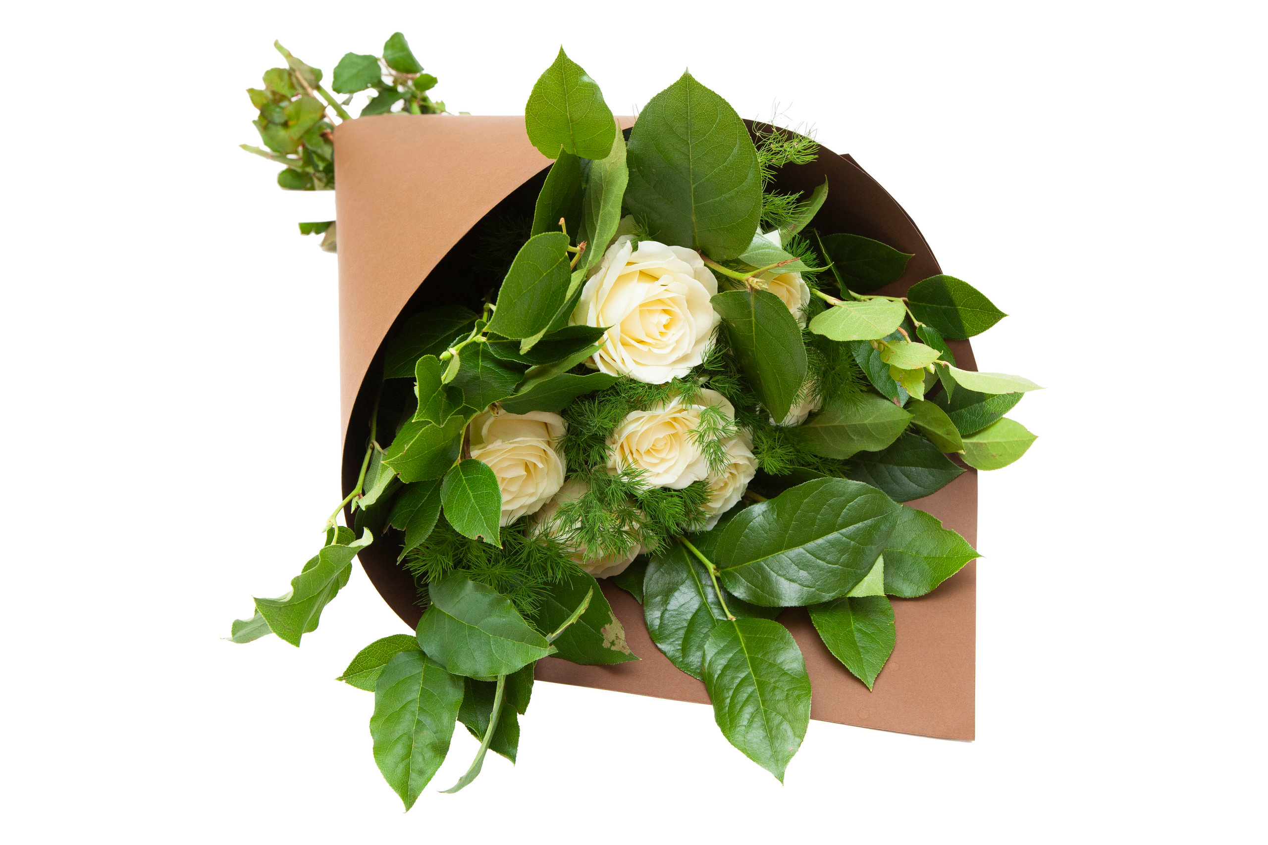 Flowers. Stanislav Baryshev — People. Emotions. Atmosphere