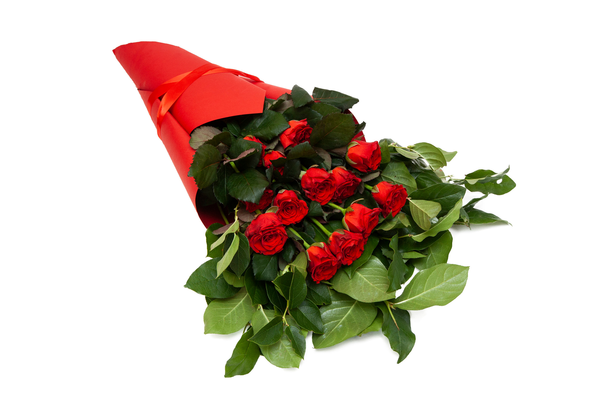 Flowers. Stanislav Baryshev — People. Emotions. Atmosphere