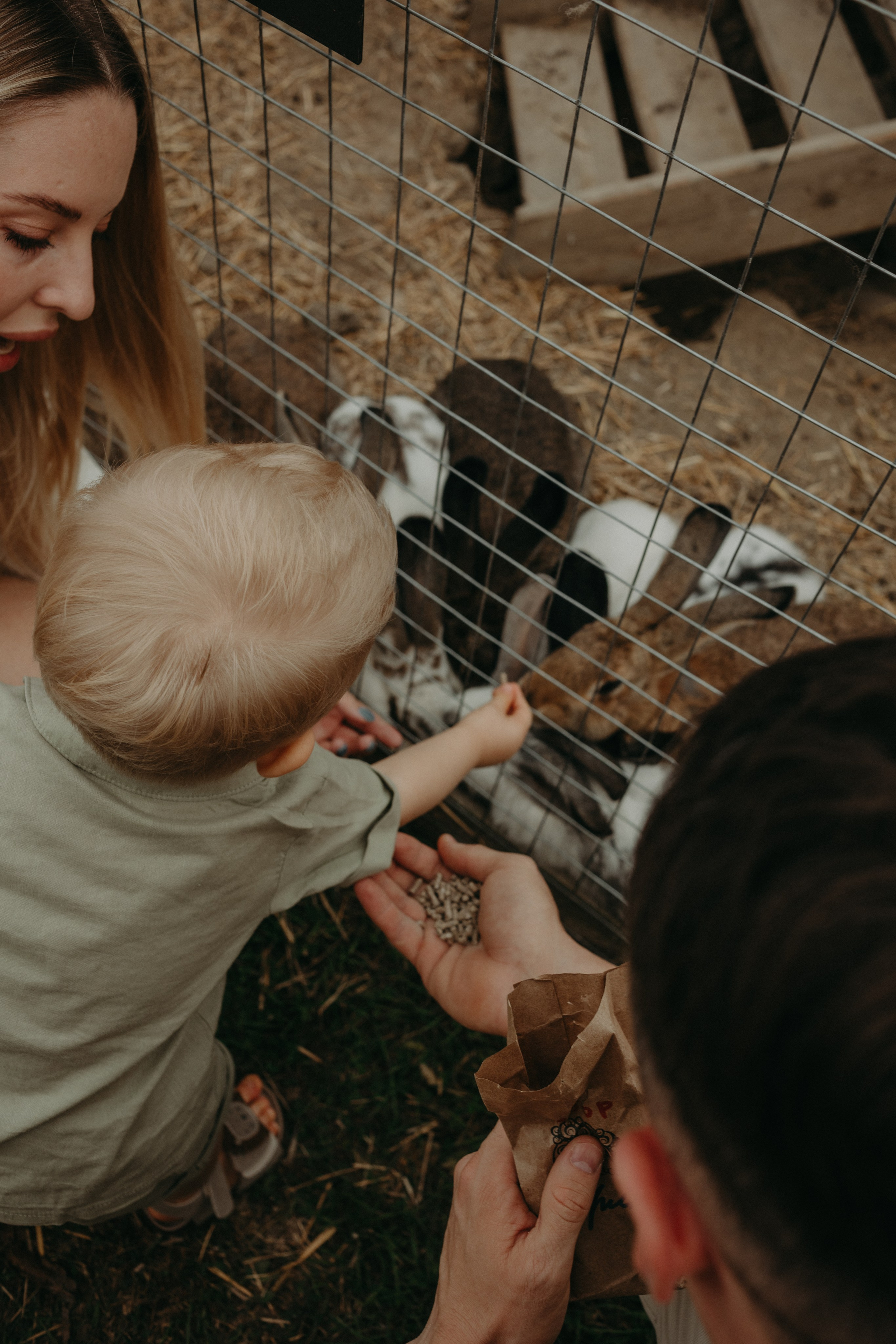 Семейное путешествие на ферму. Фотограф в Краснодаре Евгения Михаевич