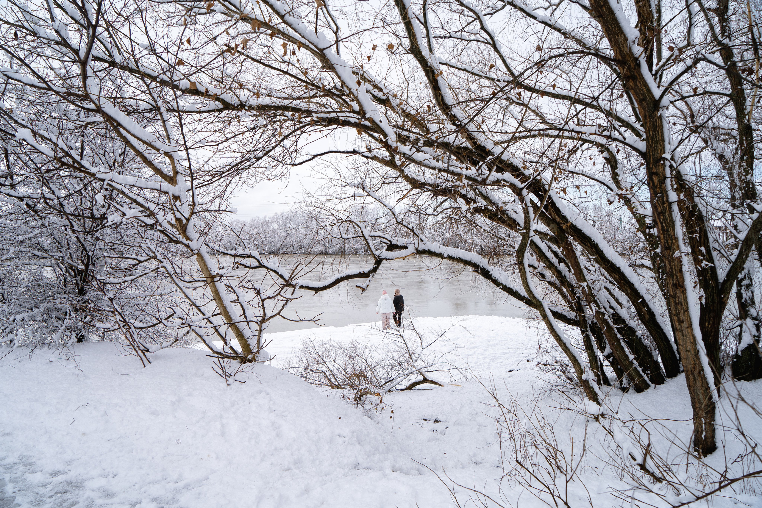 Зима 2024. Свадебный и семейный фотограф/видеограф в Краснодаре Наталья Осинская