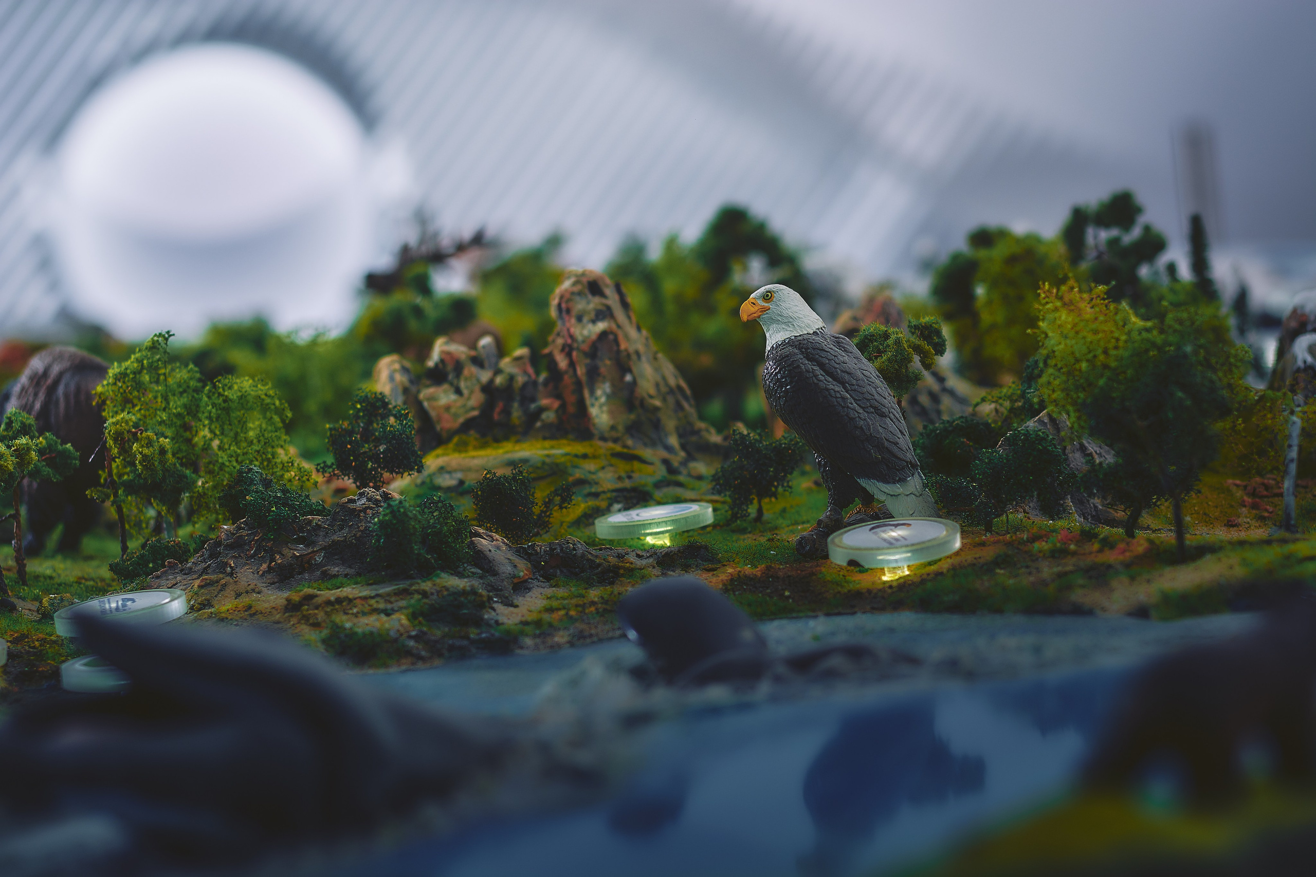 Интерьерная съемка Визит-центр Национальный парк «Кисловодский». Константин Кордонский | Интерьерный и food-фотограф в Кисловодске и КМВ