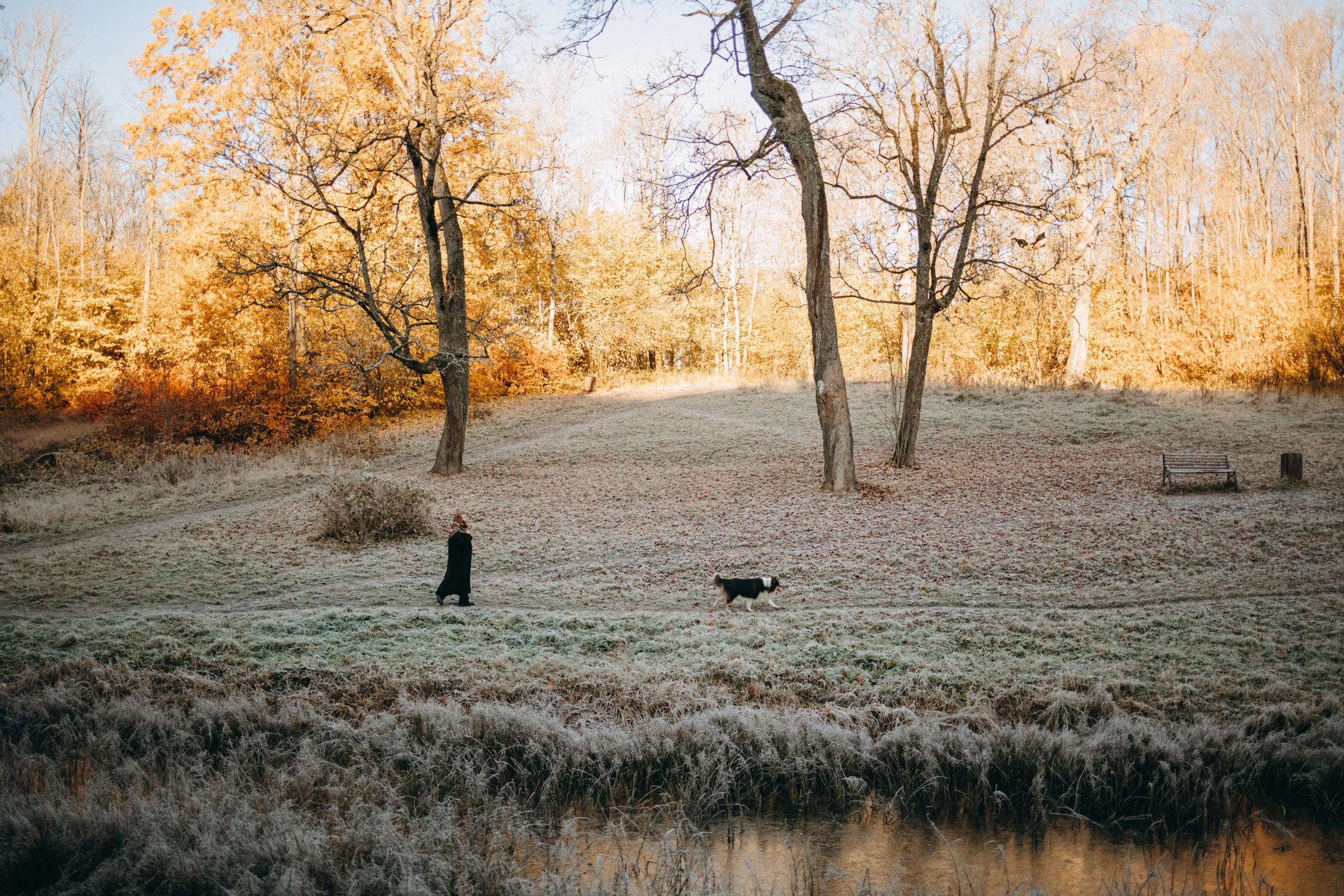Ия и Барт. Фотограф — Анималист | Санкт-Петербург