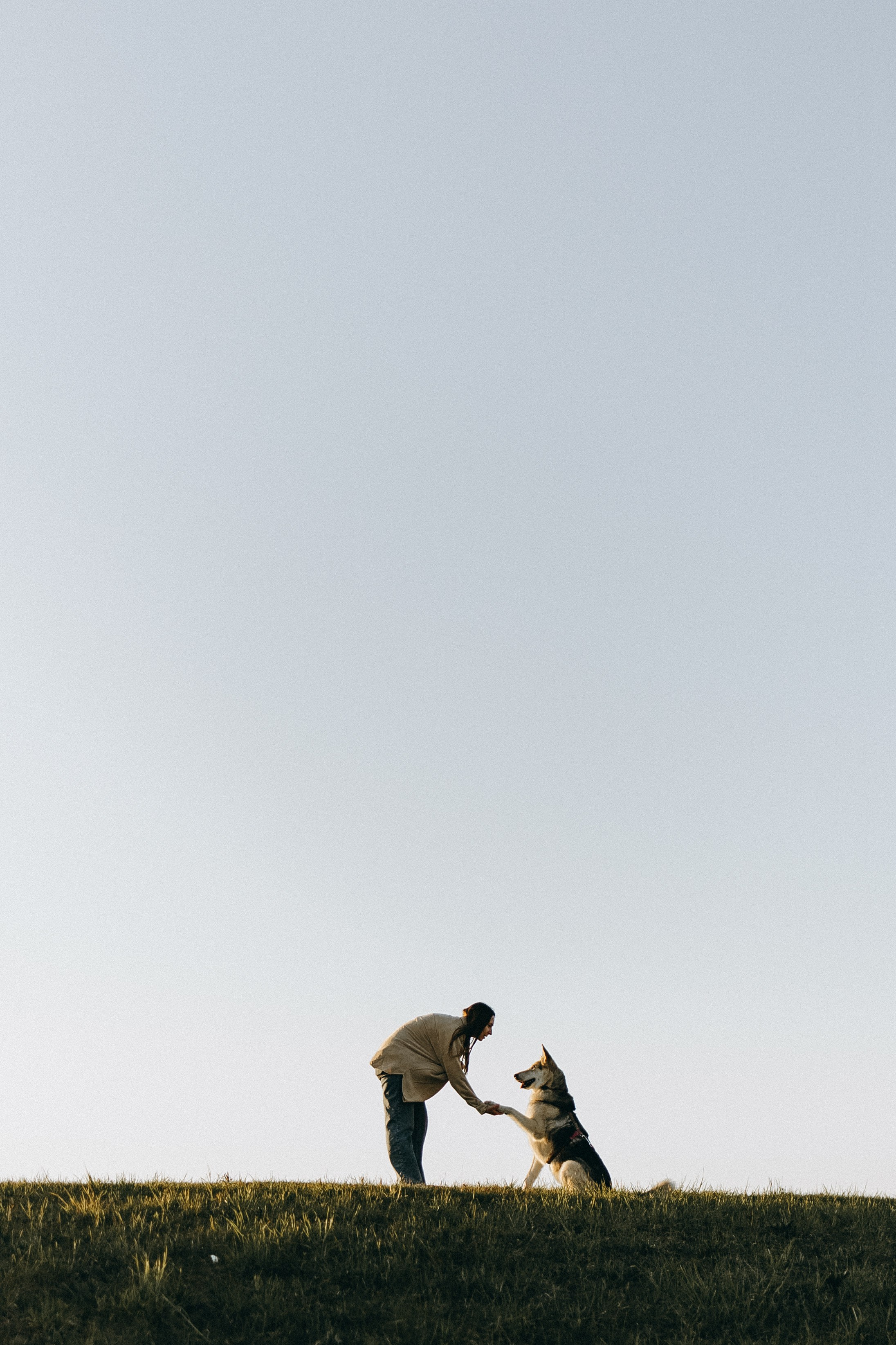 Саша и Зельда. Фотограф — Анималист | Санкт-Петербург