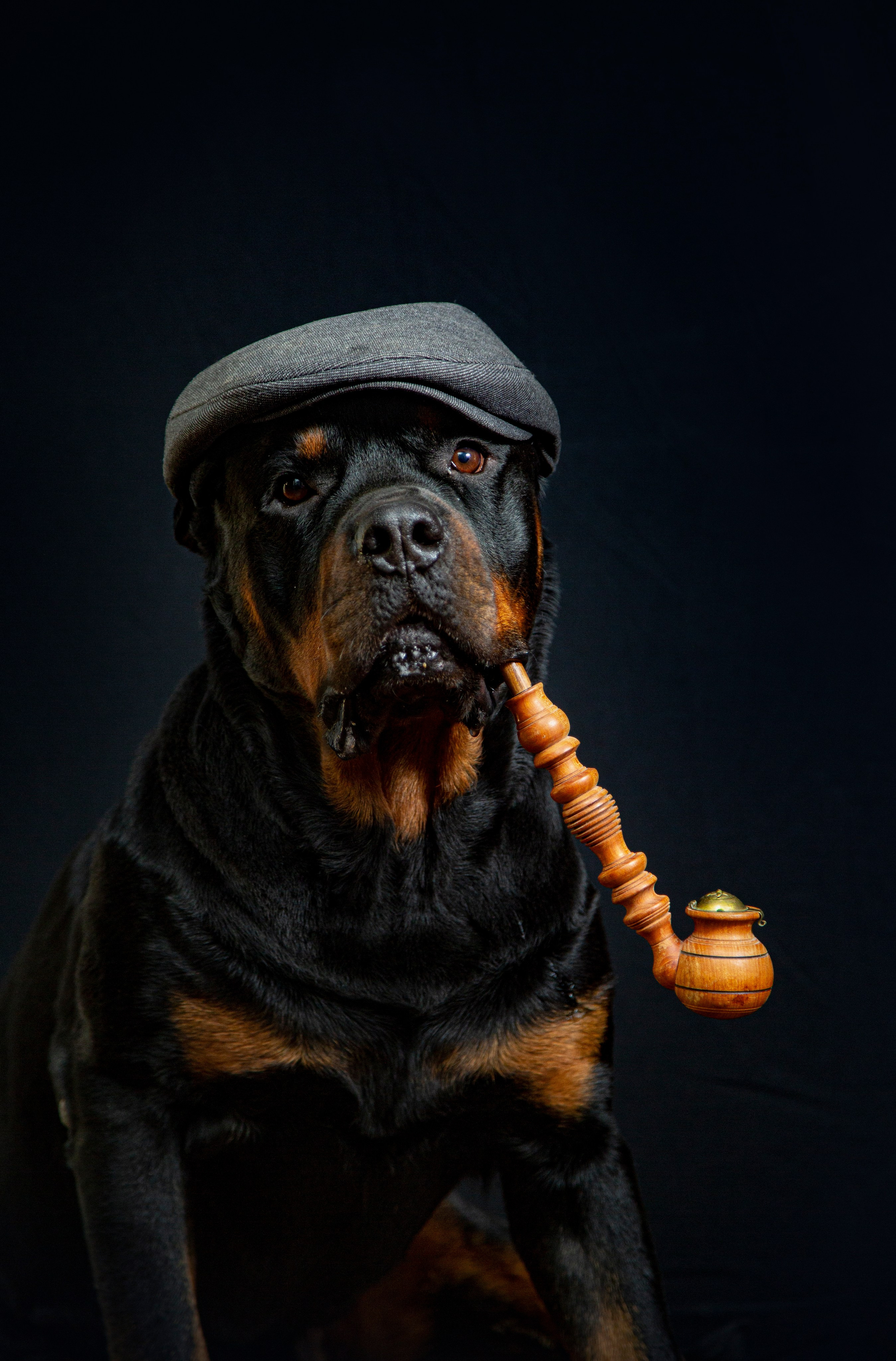 Животные. Авторские туры с профессиональным фотографом