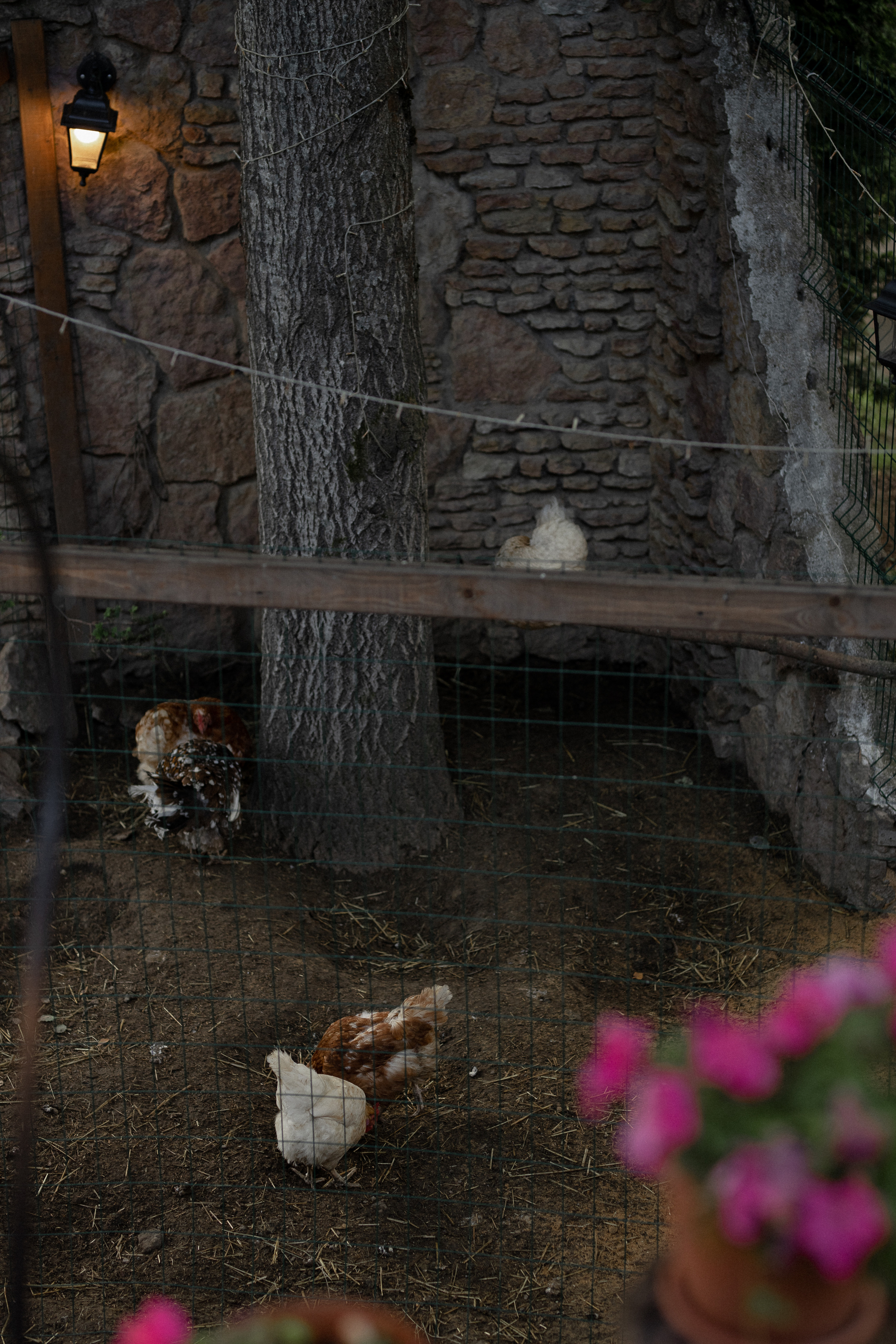 N|A. Свадебный фотограф Таня Караисаева