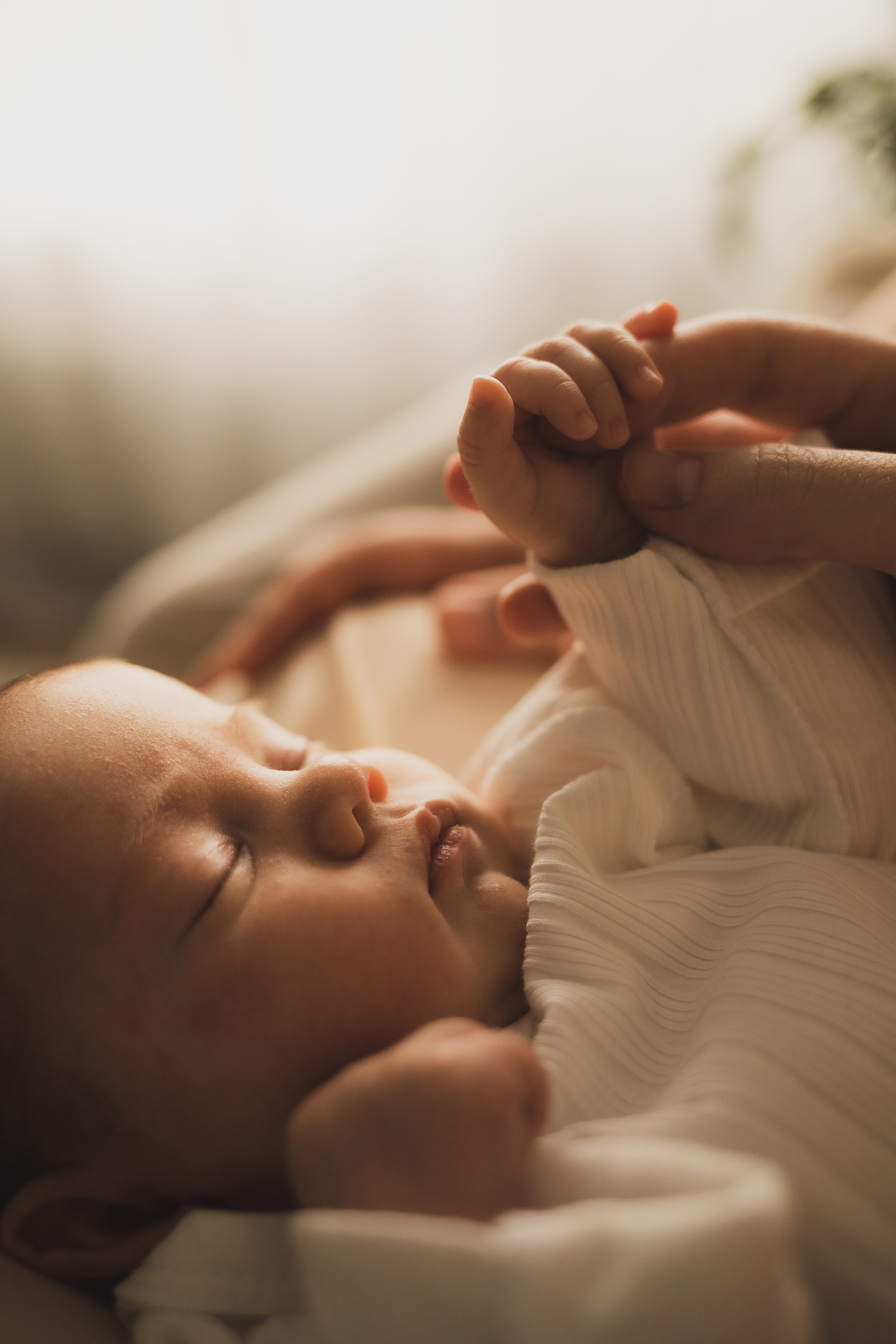 Портфолио. Семейный фотограф в Москве Елена Дудкина