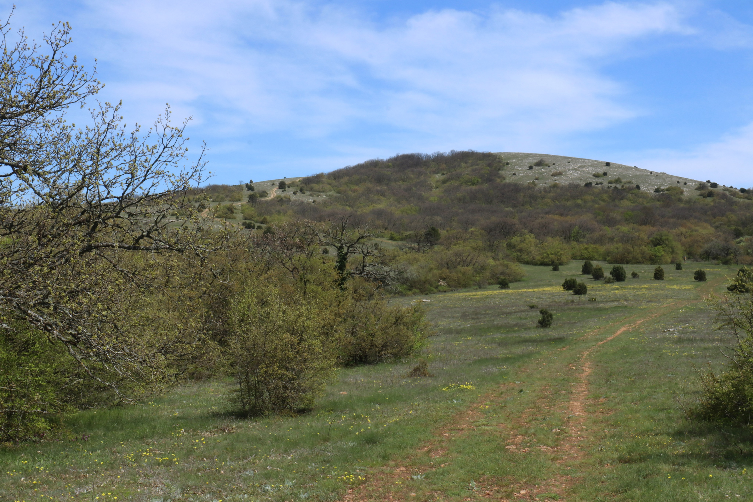 Крым. ЮБК (Севастополь, Кастрополь, Ялта). Май 2023. Путешественник-фотограф из Санкт-Петербурга Татьяна Свистулина