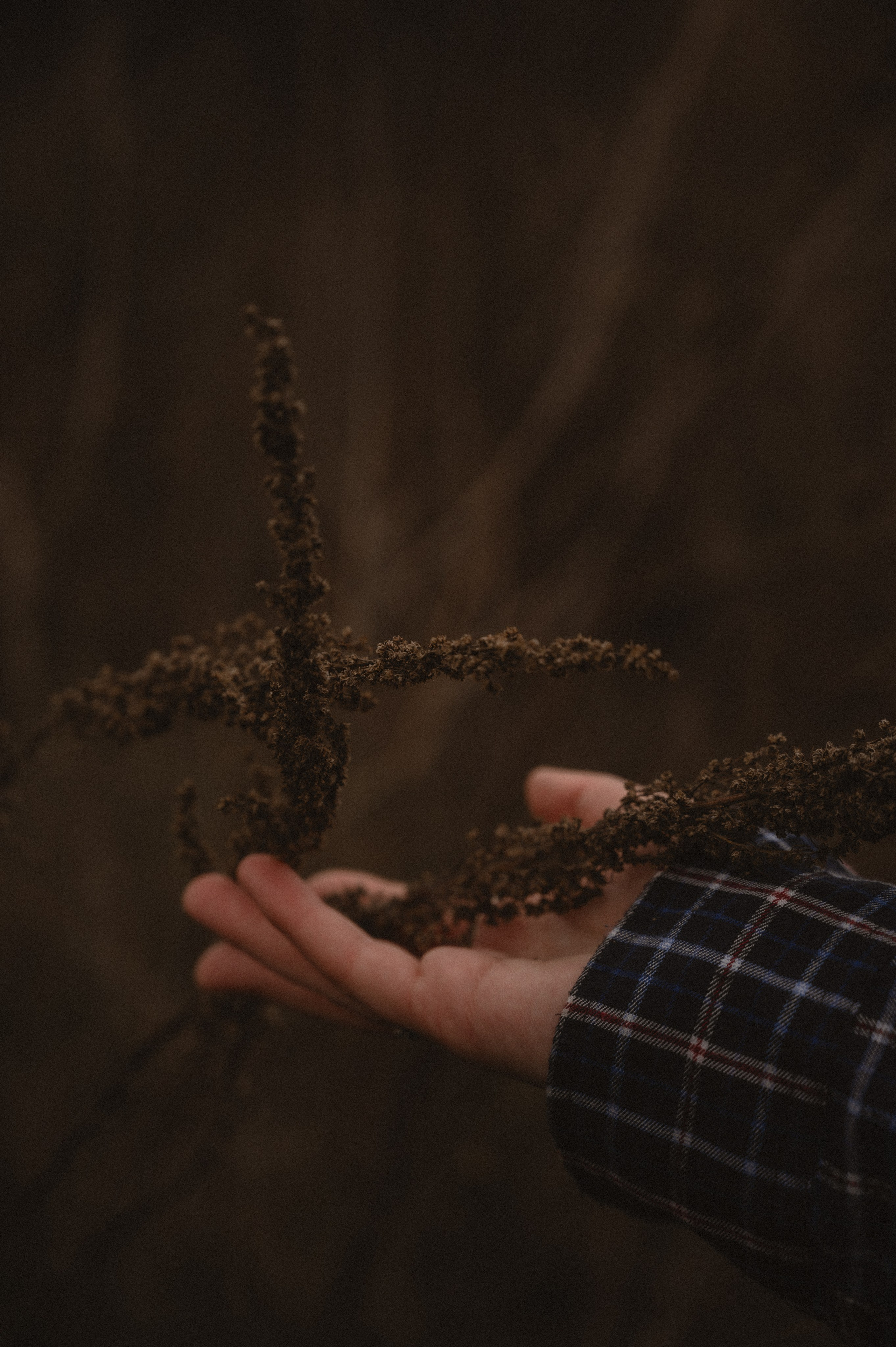 Под звуки ветра. Семейный и свадебный фотограф в Самаре