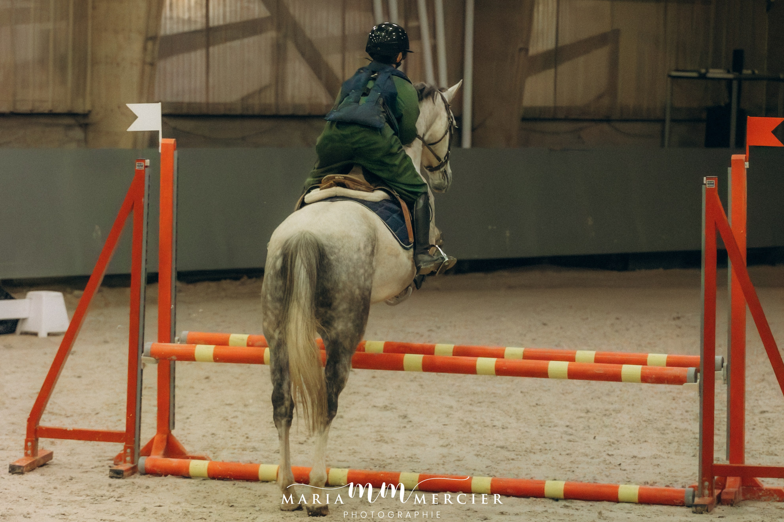Evènements. Photographe des familles et enfants à Nantes et alentours