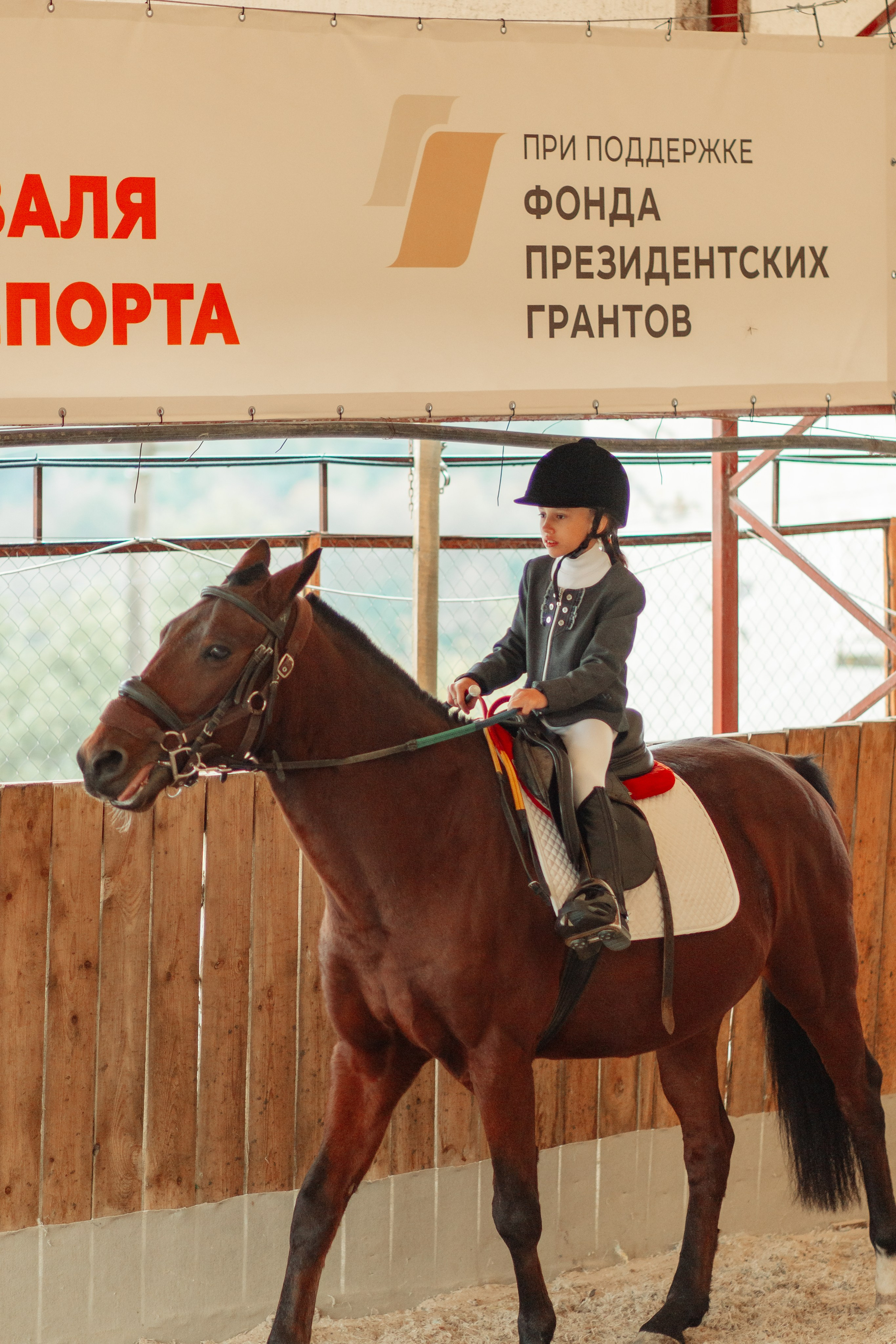 Маргуша сочи конный спорт