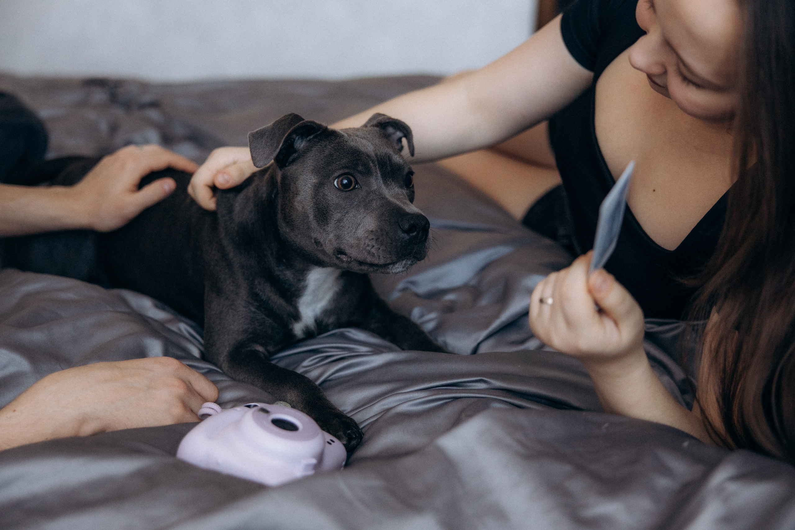 Таня, Егор и Луна. Фотограф анималист в Казани Алина Сулейманова. Фотограф животных