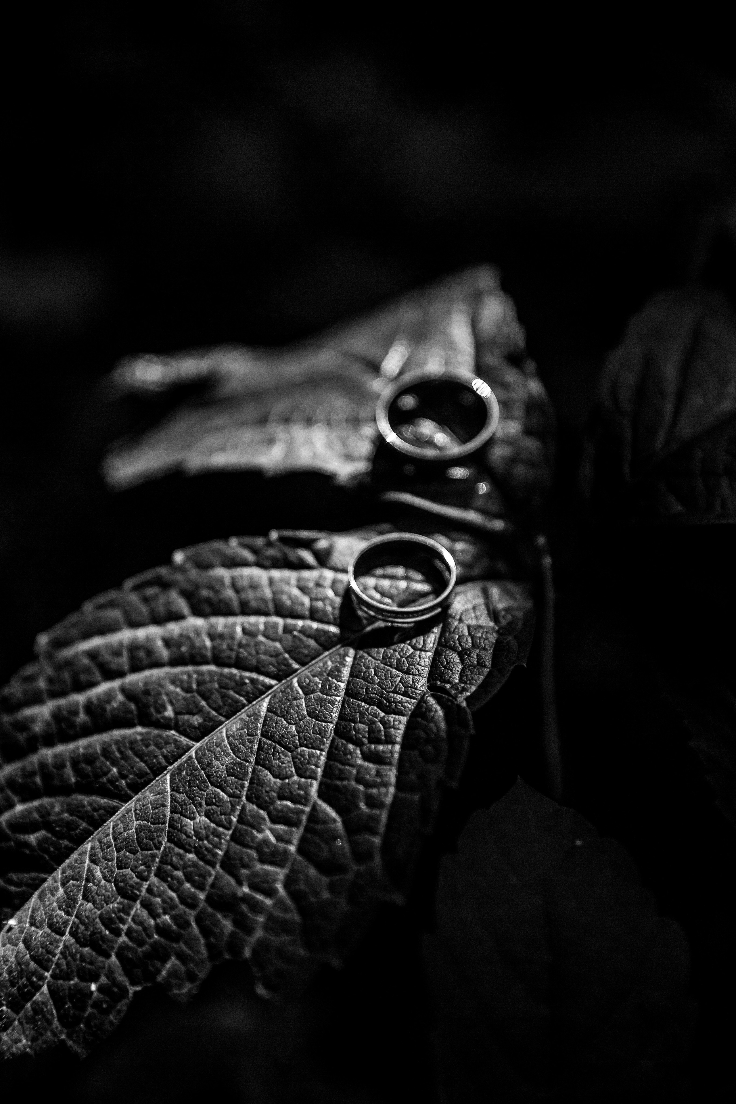 Алина и Влад. Портретный и свадебный фотограф в Воронеже Елена Михайлова