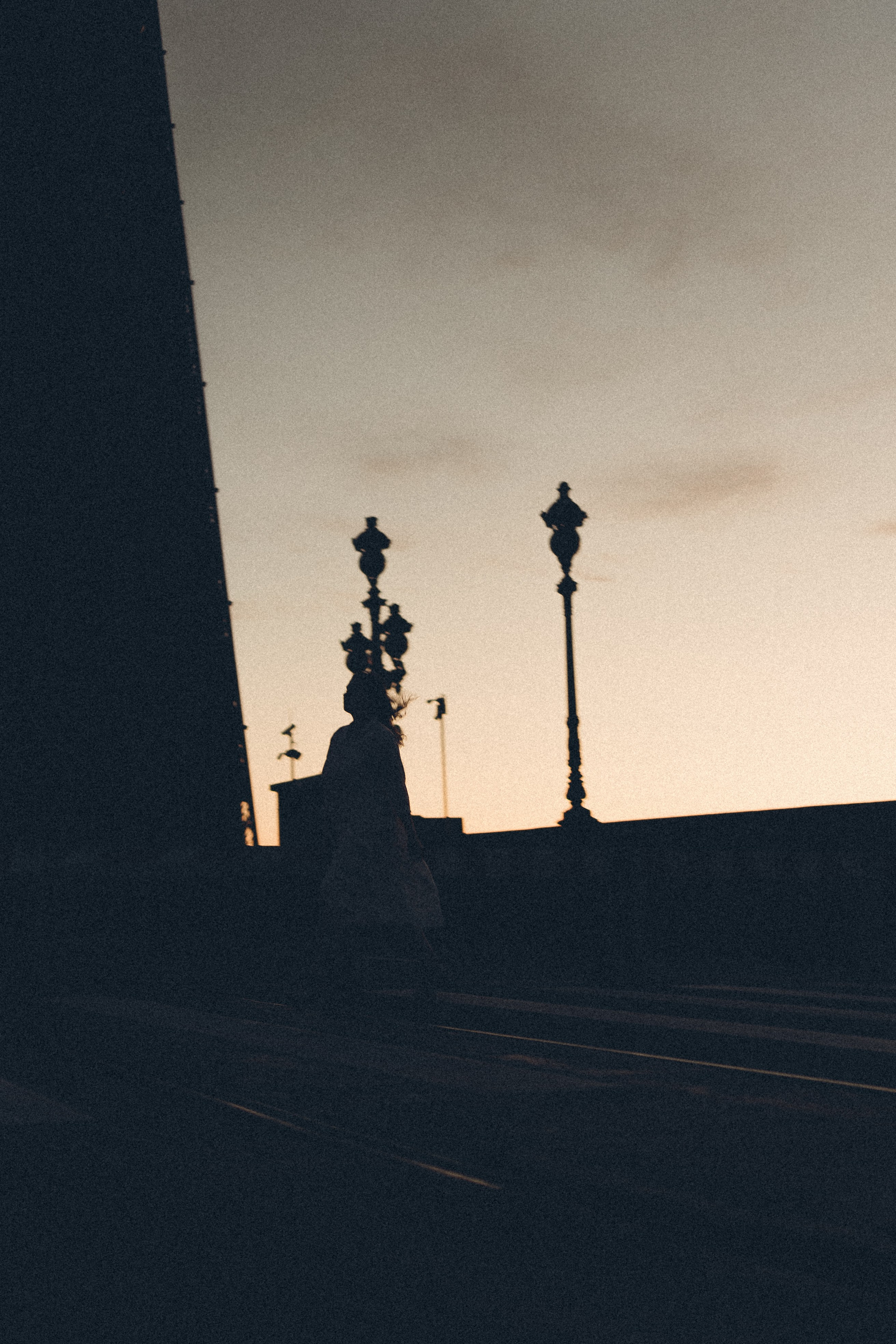 РАССВЕТ С РАЗВОДНЫМИ МОСТАМИ. Профессиональный фотограф, Санкт-Петербург — Виктория Богомолова