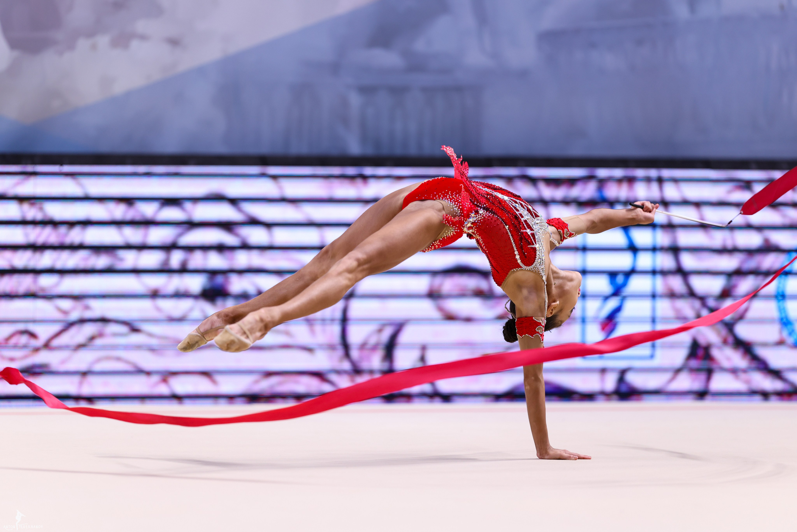 Жемчужины Санкт-Петербурга 10-12.10.2025. Спортивный и репортажный фотограф Антон Тереханов