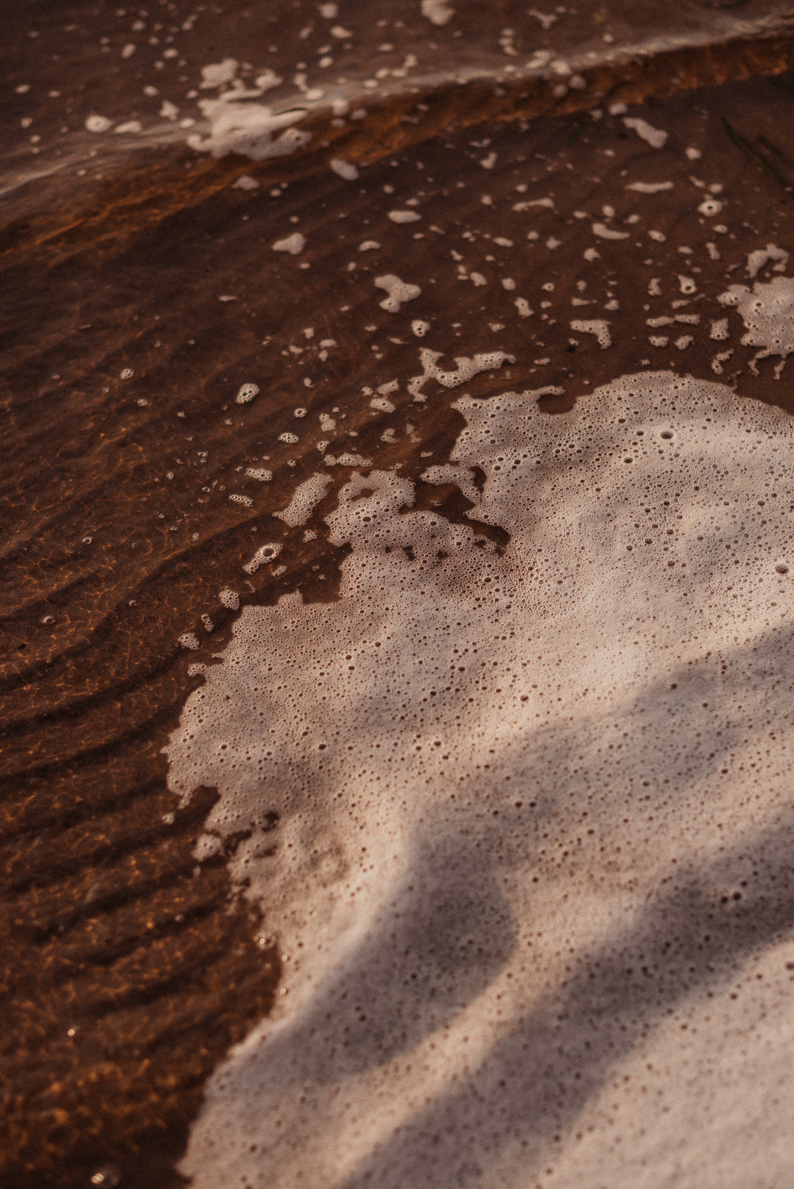 Надя + Тимофей. Свадебный и семейный фотограф в Волгограде Олеся Лисицкая