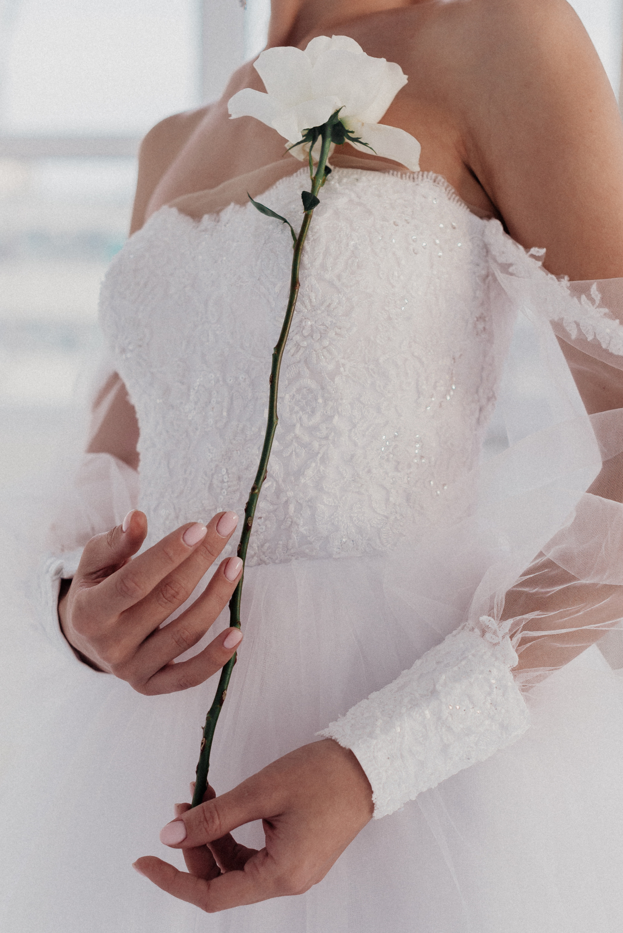 Контент для @gifted.goncharova. Свадебный и семейный фотограф в Волгограде Олеся Лисицкая