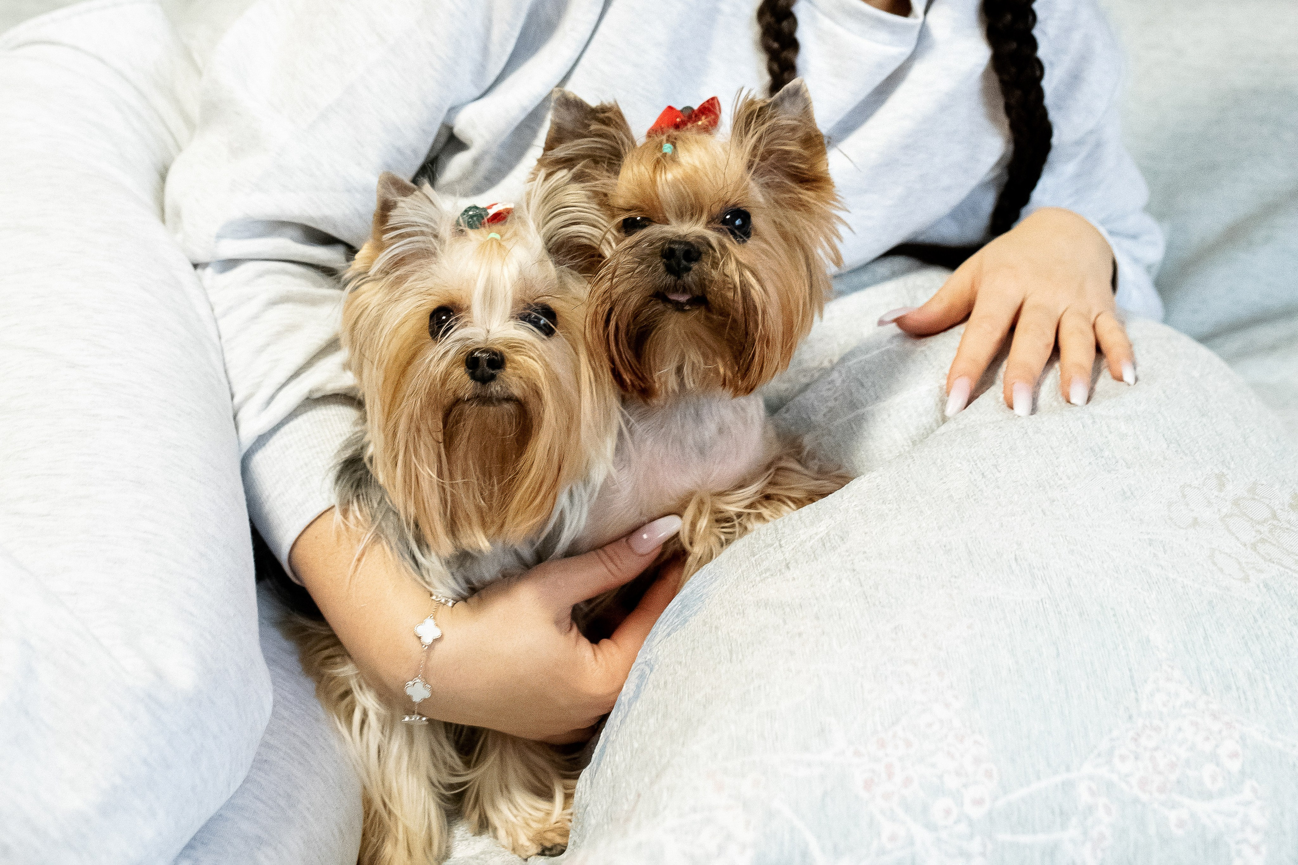 Тома и Даня с питомцами!. Профессиональный фотограф, Москва |Видное Елена Елизарова