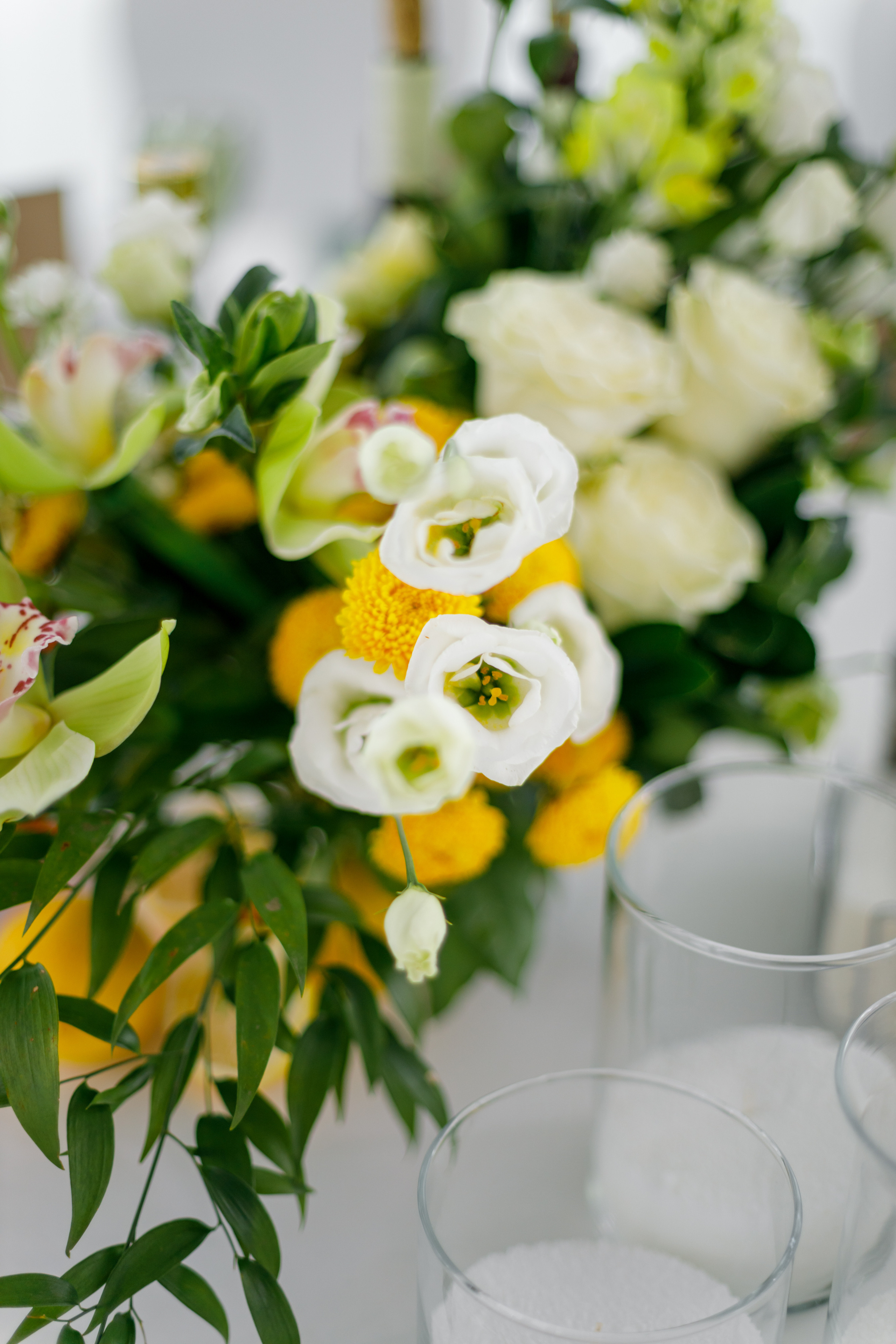 Анжела & Максим. Свадебный и семейный фотограф Татьяна Селезнева