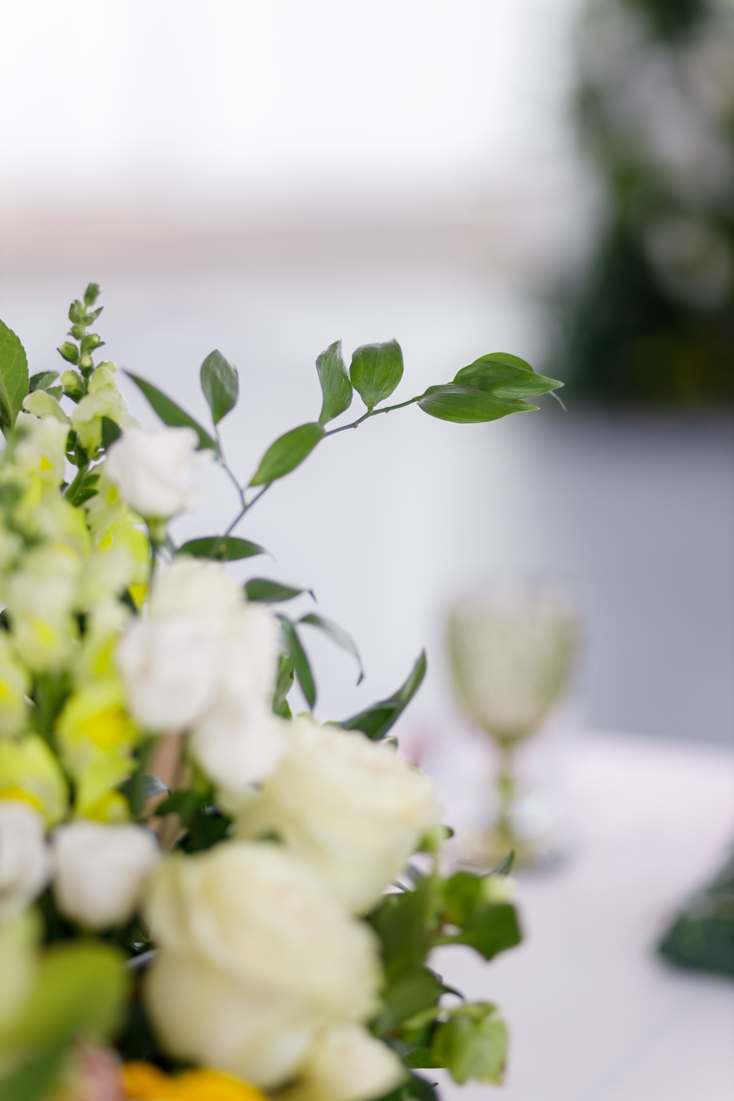 Анжела & Максим. Свадебный и семейный фотограф Татьяна Селезнева