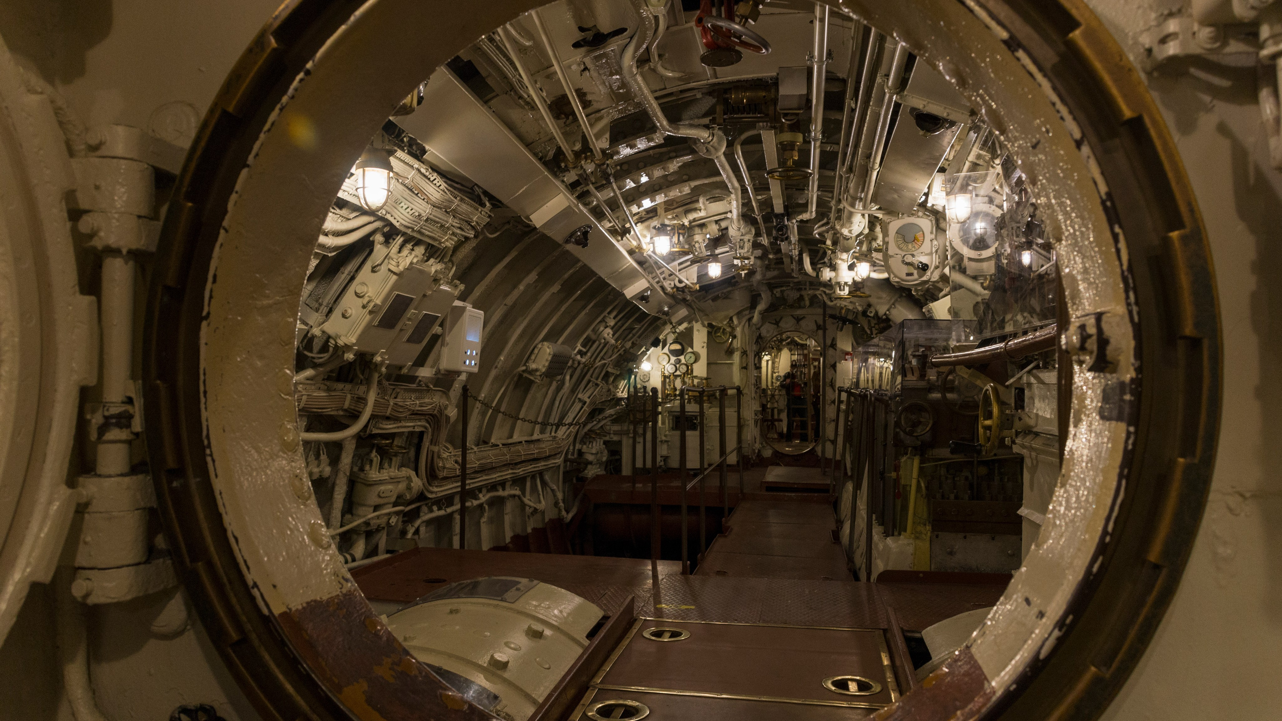 Таллин. Фотограф-путешественник Самойлов Максим «Sly Fox»