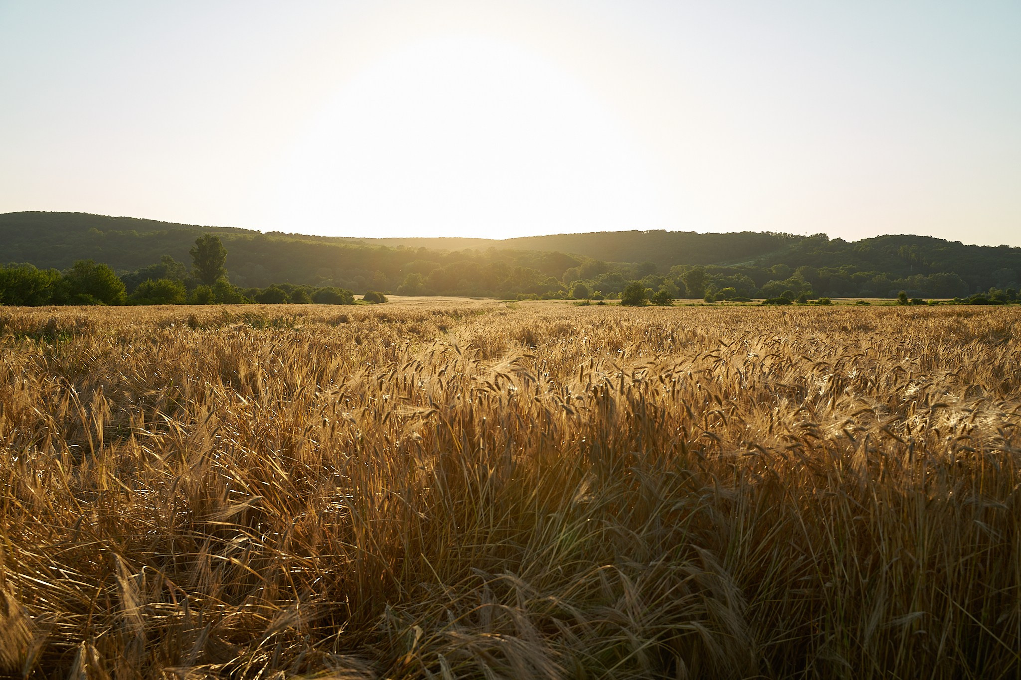 Фото- видео- съемка. Краснодар, Краснодарский край, Крым. Петр Ступень. Свадебное, семейное фото и видео. Москва. Краснодар