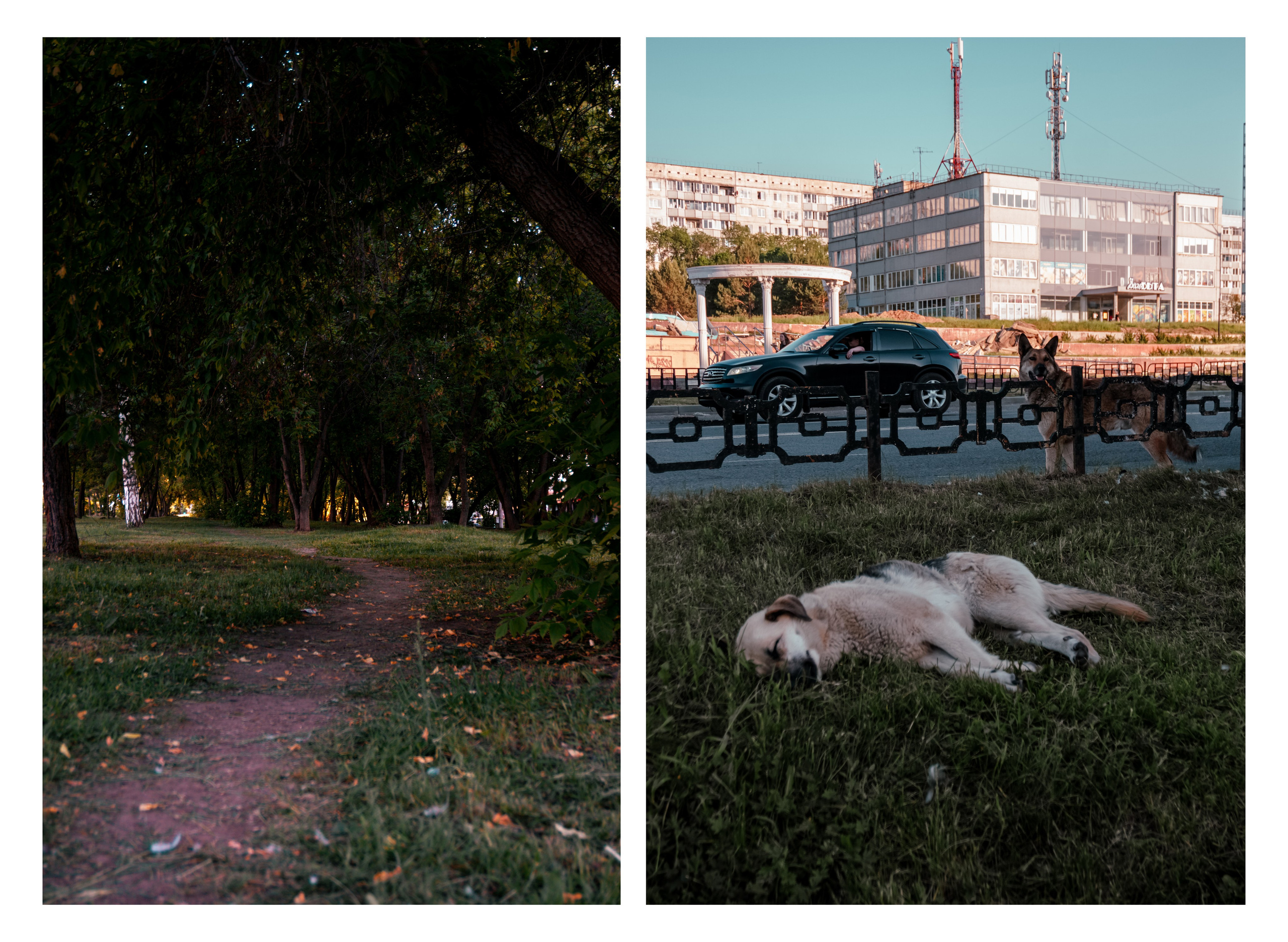 06.06.2025 | Сосновоборск. Kuznetsov | Фотограф в Красноярске