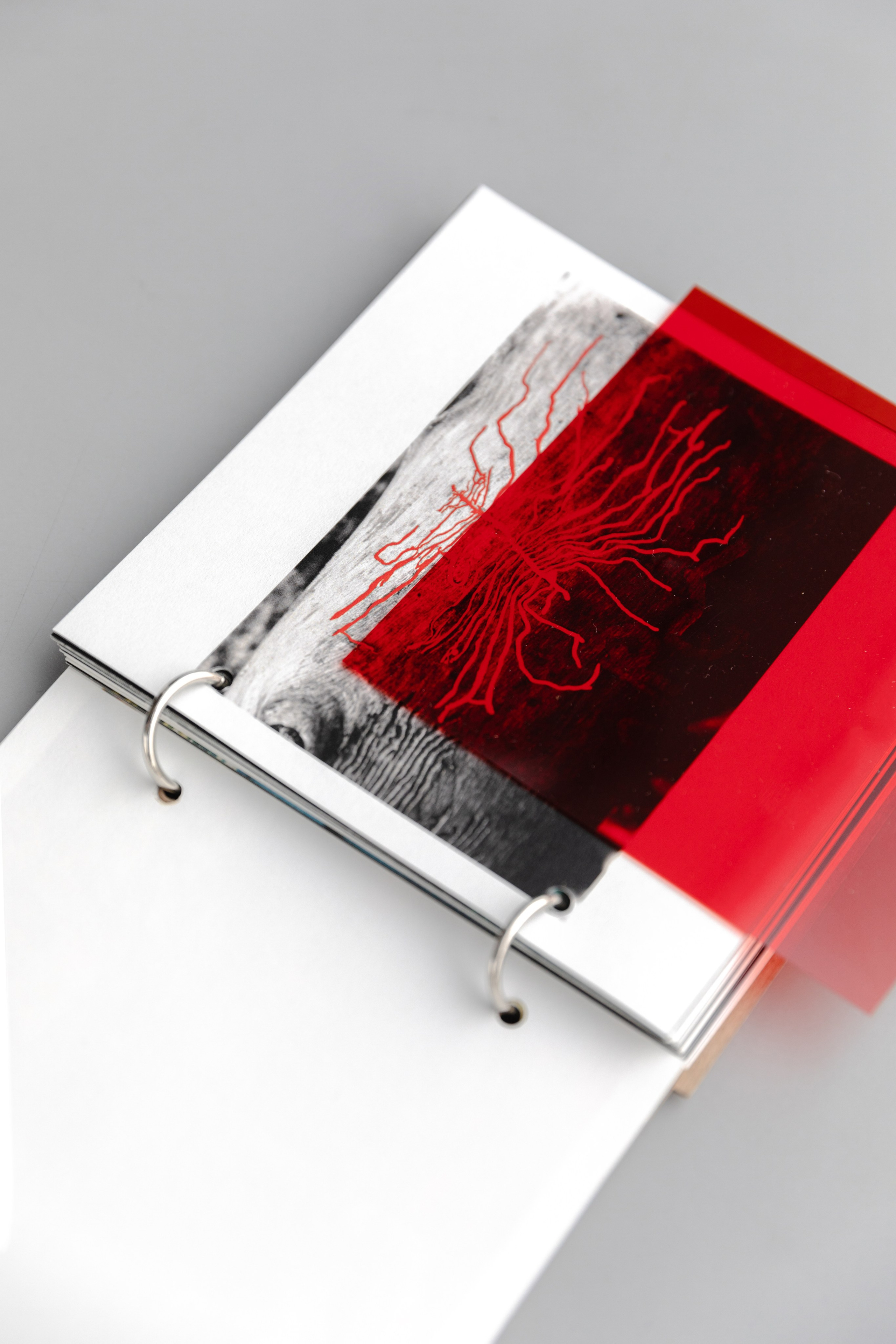 Beetlemania. Лера Круглова