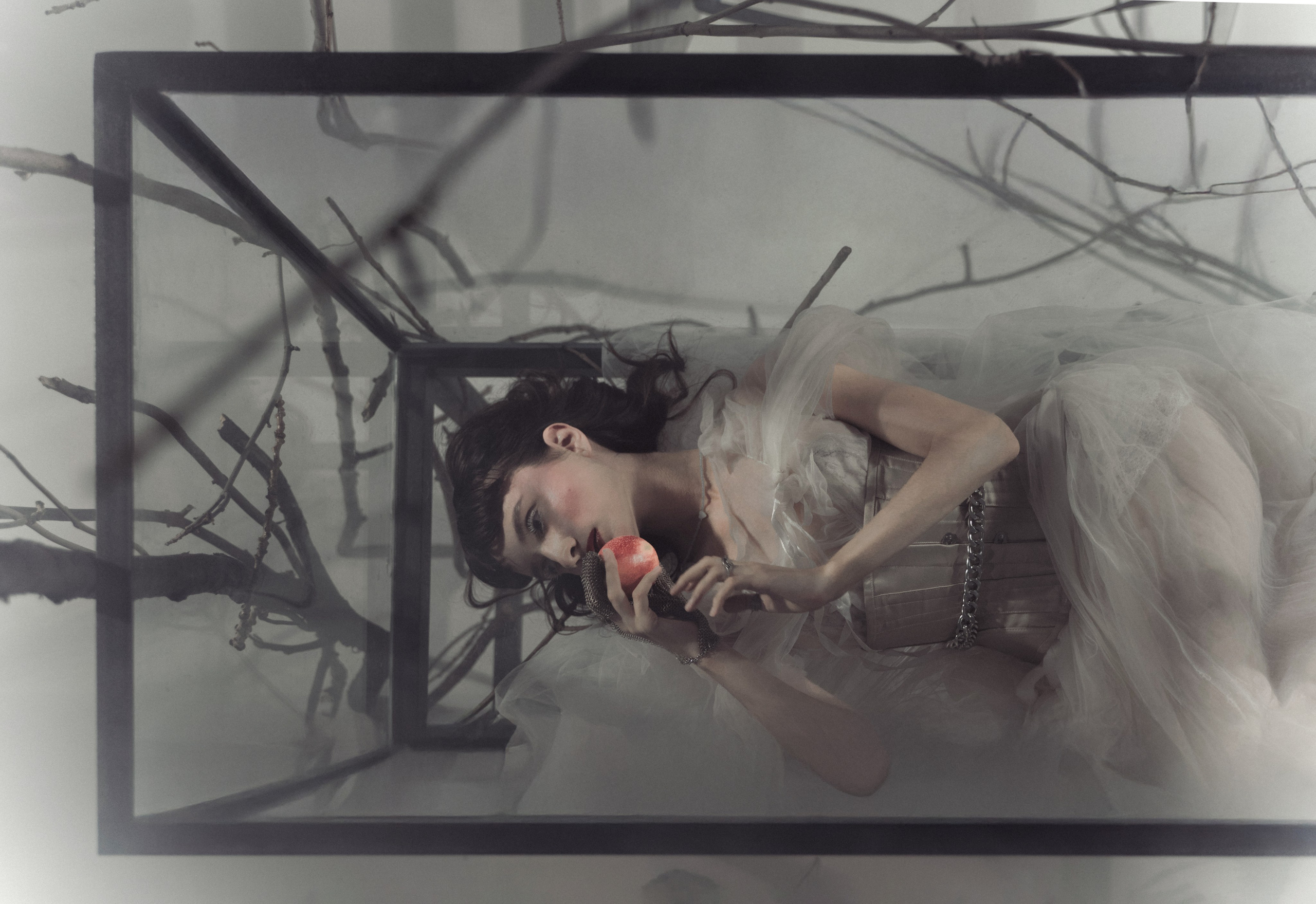 Белоснежка. Фотограф Anita Mivchas