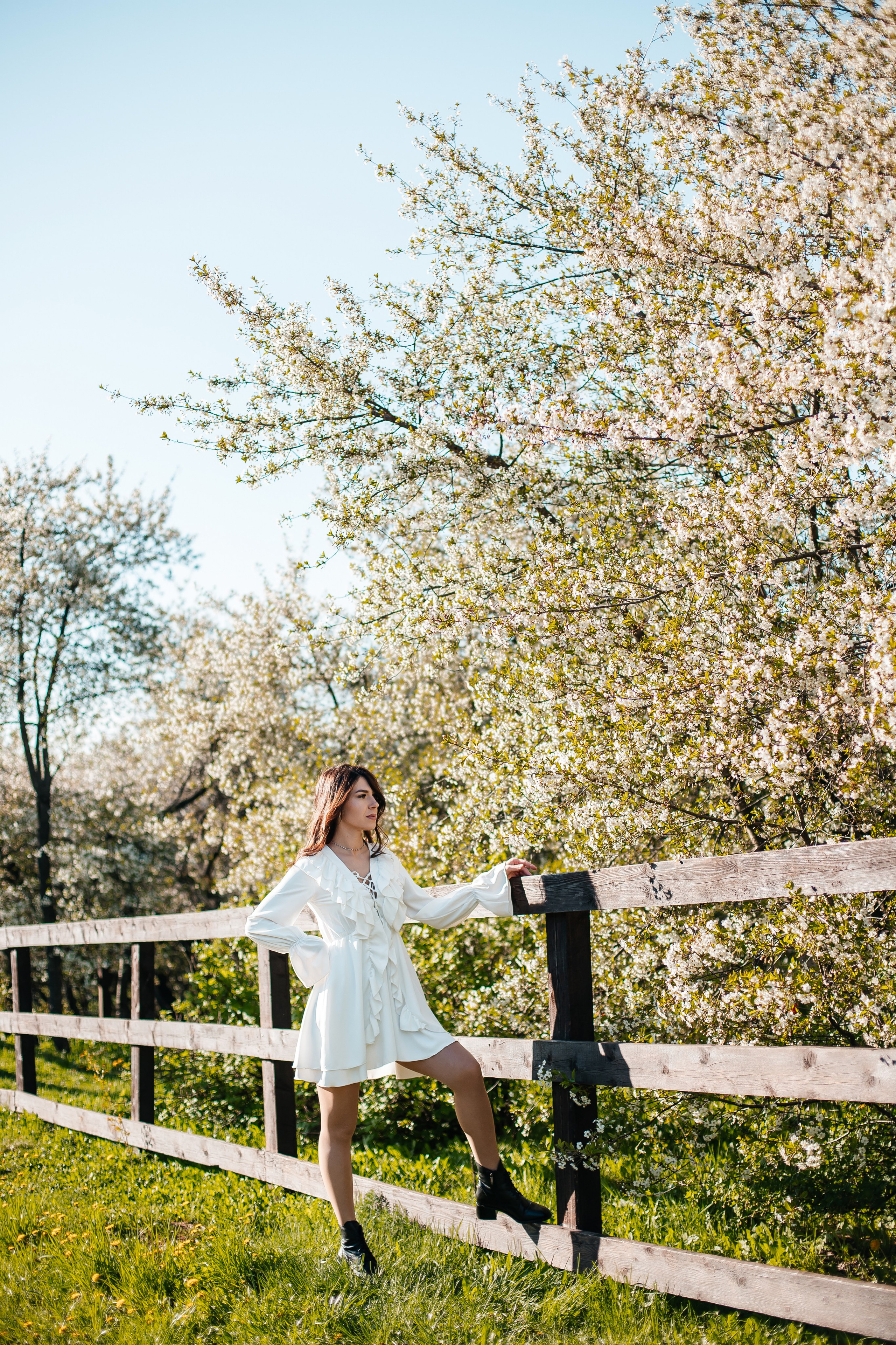 Вишня. Анастасия Давыдова