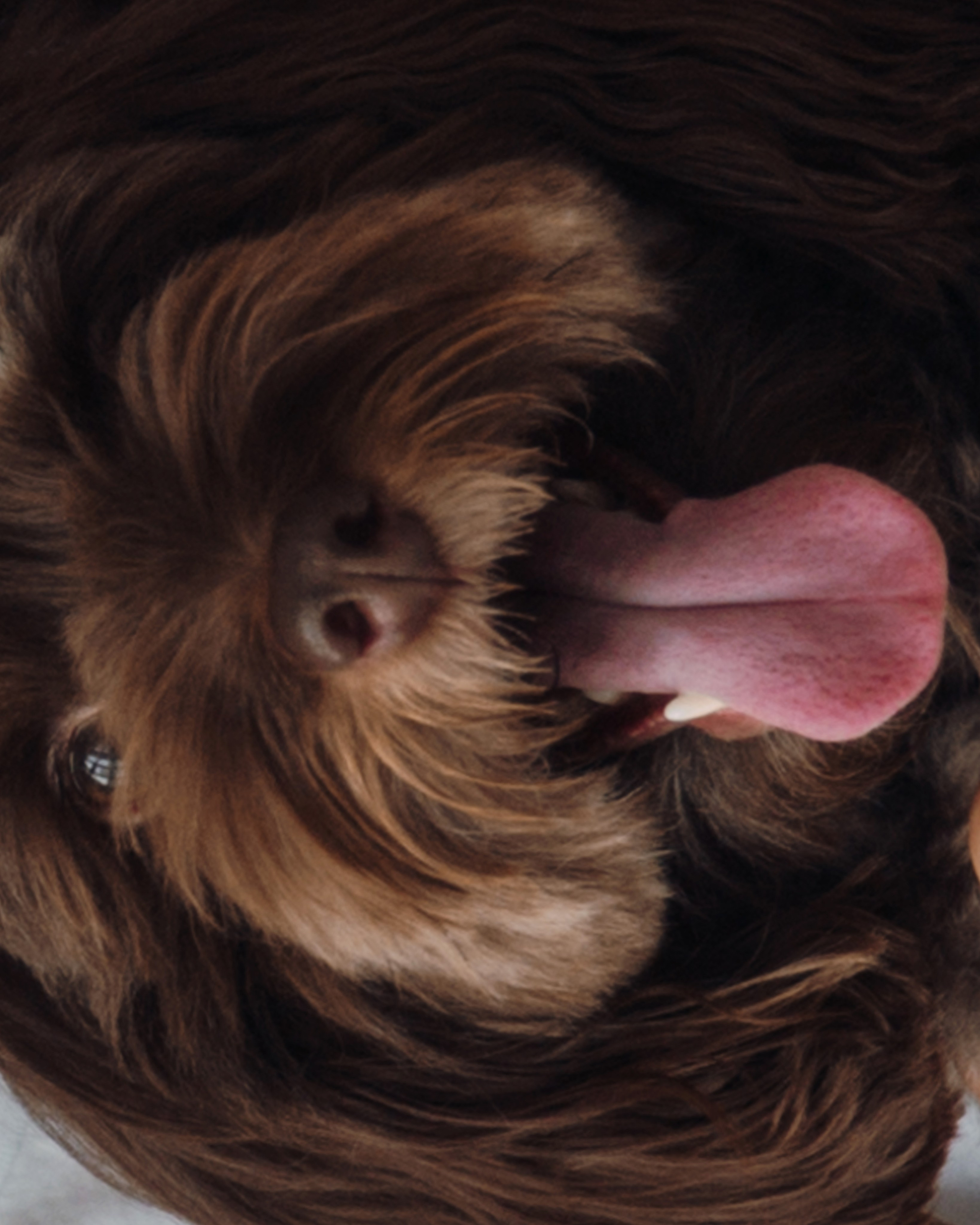 П & И. Женский и свадебный фотограф Москва Елизавета Перова