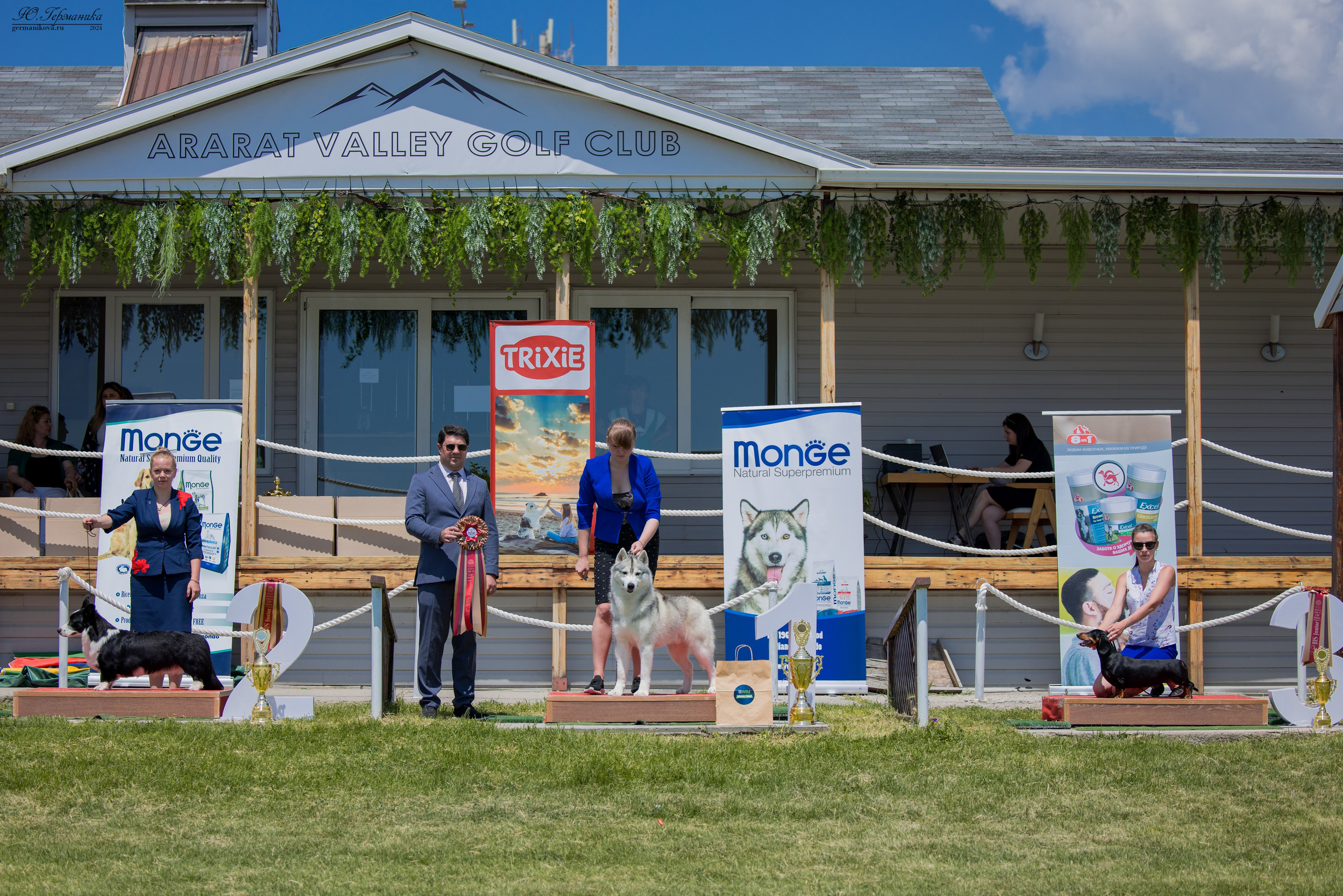 Ереван 3-5.06.2024. Фотограф-анималист Юлия Германика