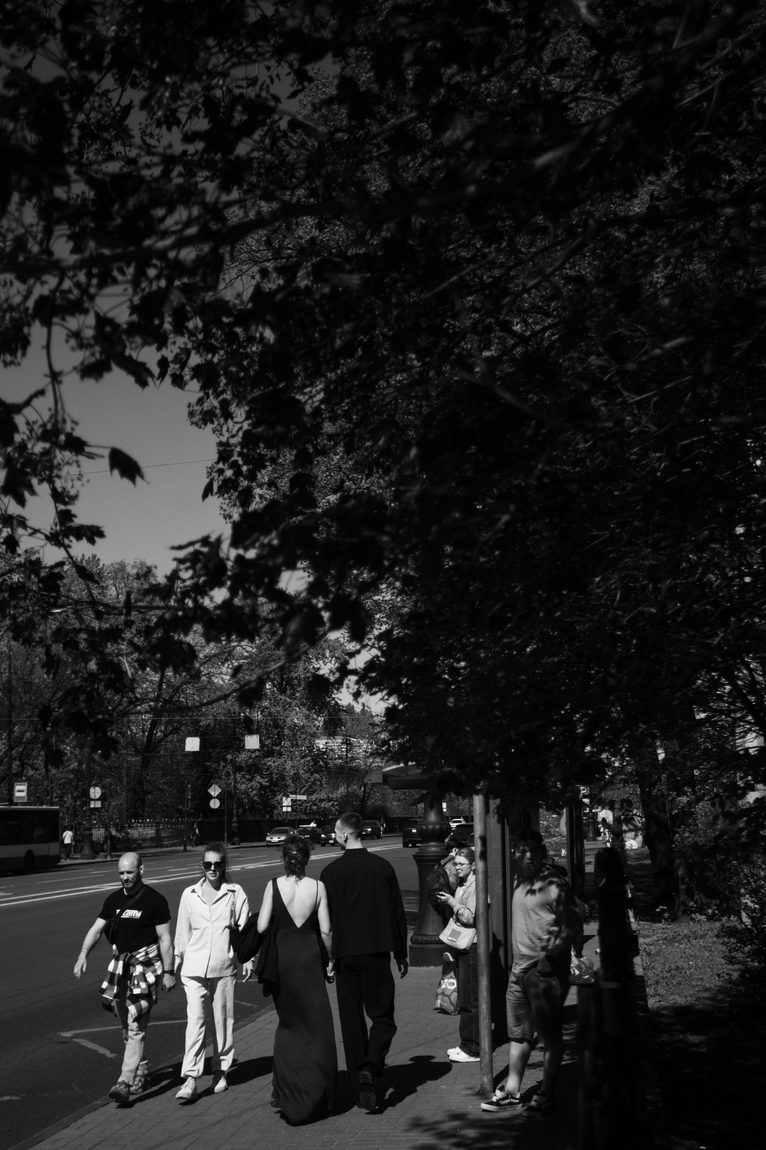 Павел и Анастасия. Свадебный и портретный фотограф