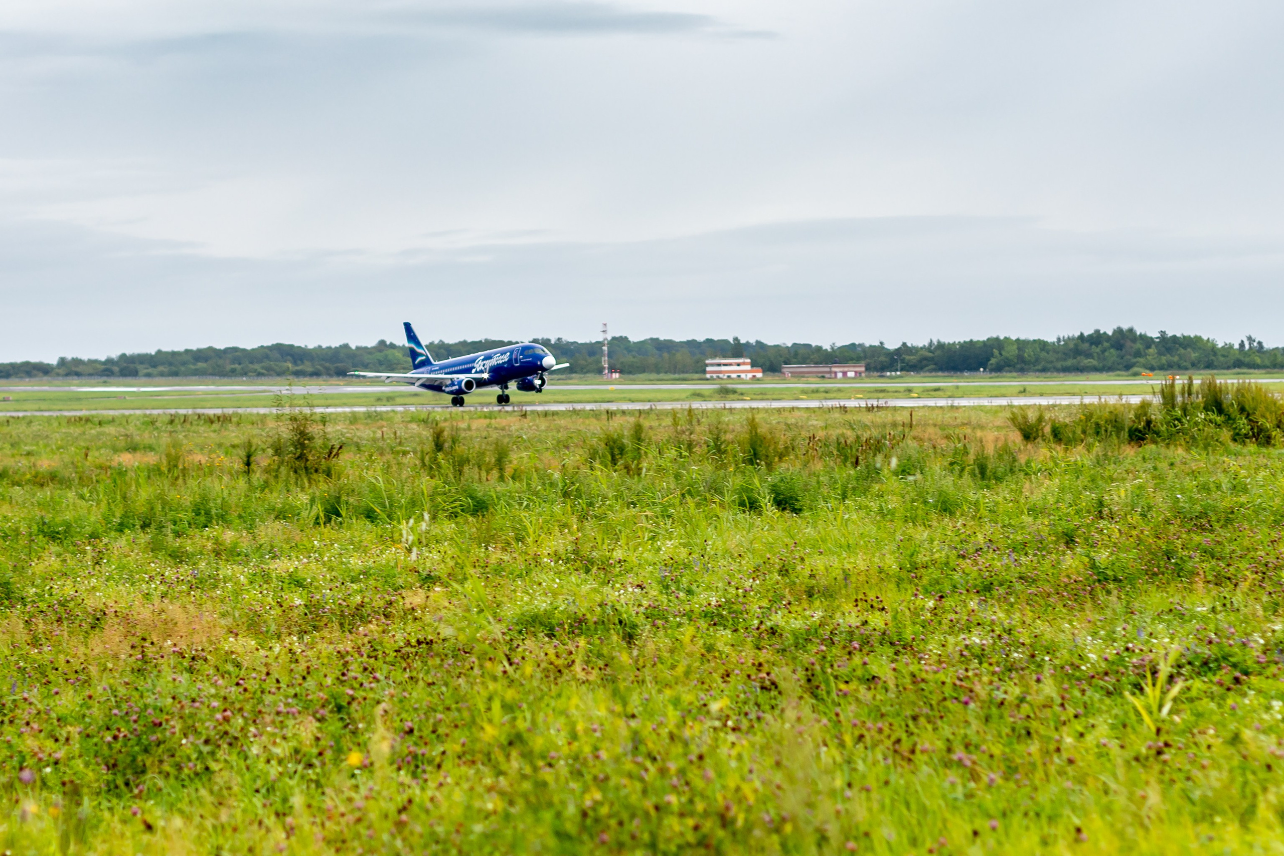 Споттинг 2024. Семейный и детский фотограф в Хабаровске Алевтина Проскурякова