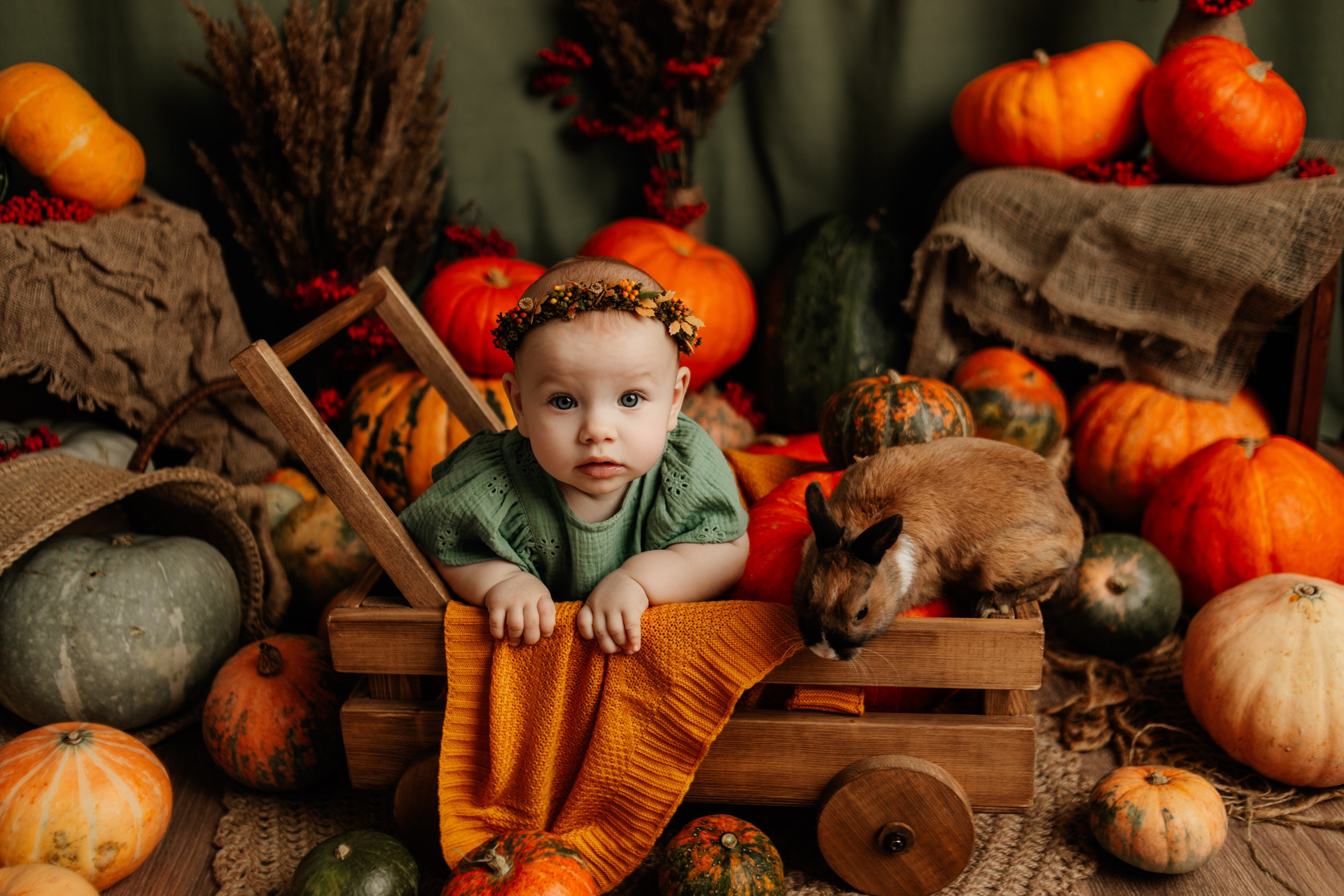 Фотопроекты. Фотограф новорождённых семейный фотограф Томск Елена Каплина