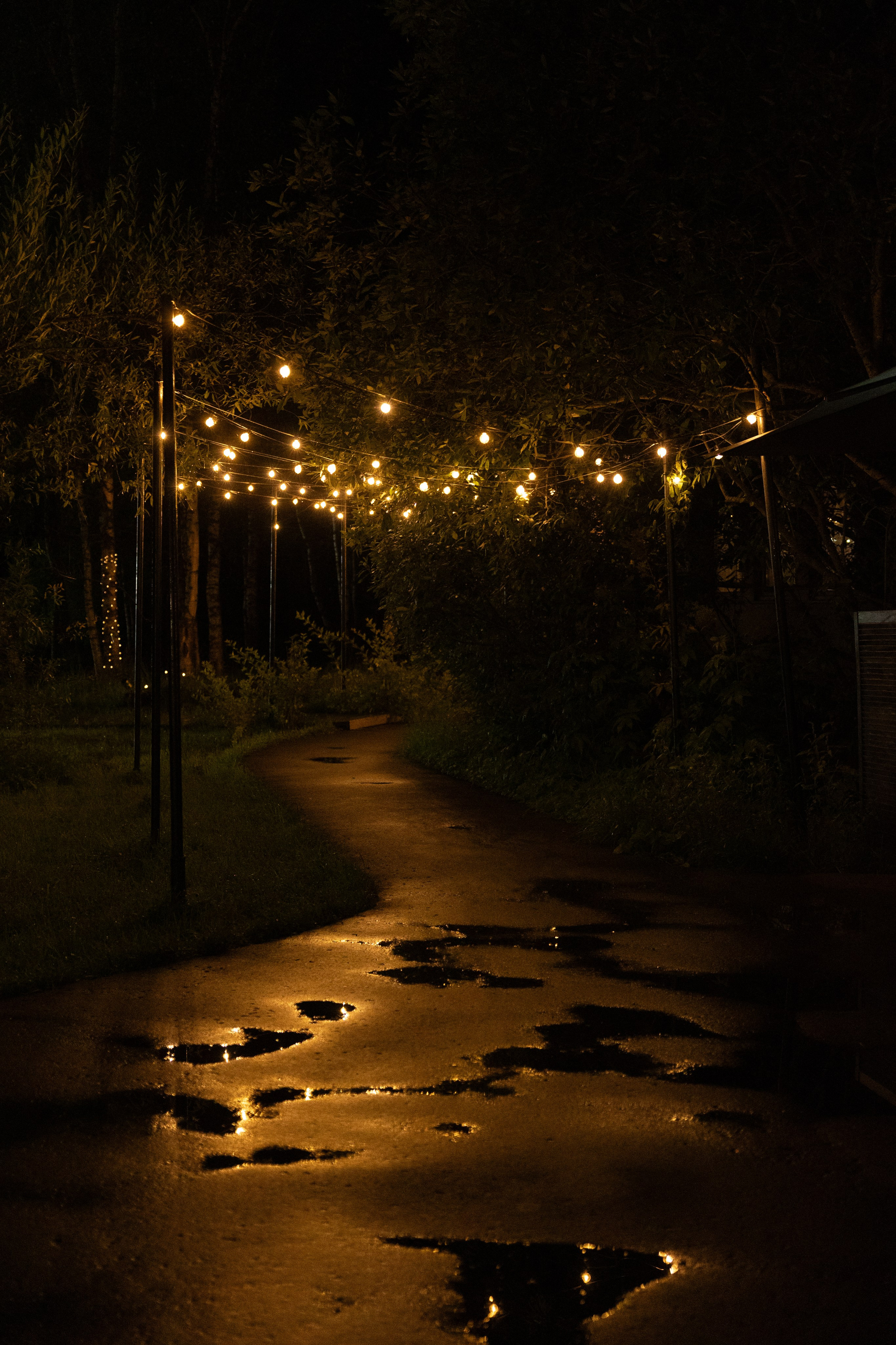 Green-house. Главная