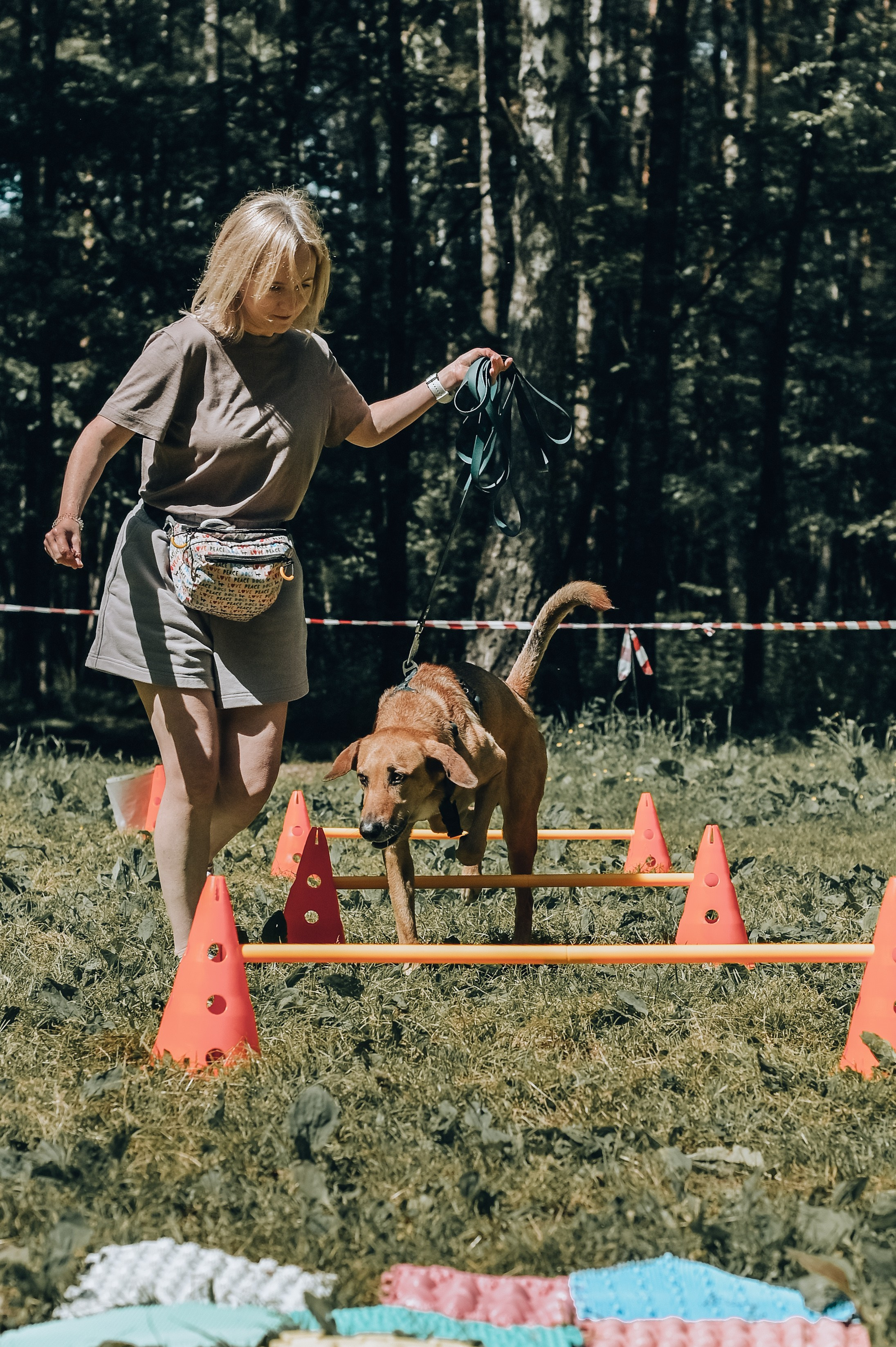 Кинологические соревнования. Семейный и репортажный фотограф в Москве Анастасия Трубкина
