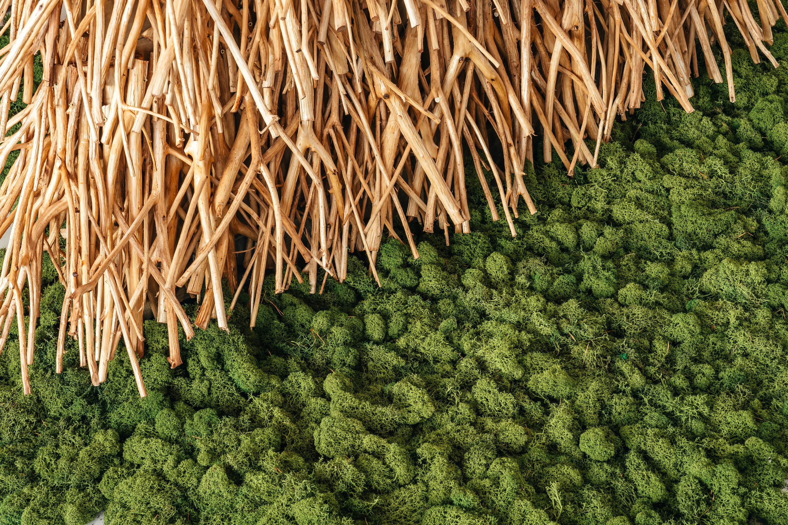 FØRST, FORMA. @tomrus: Рустам Шагиморданов — фотограф