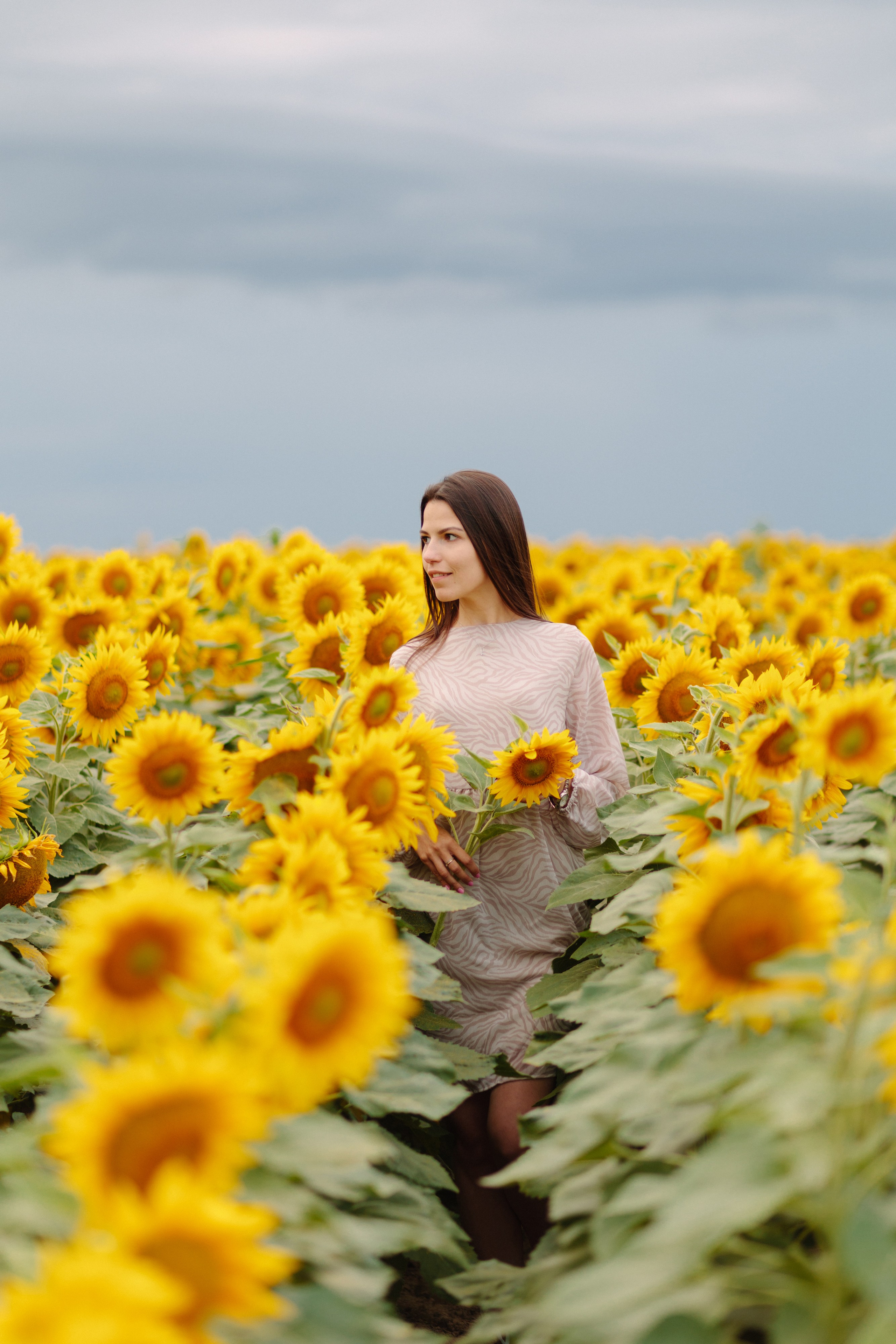 Подсолнухи. Dima Lemeshevsky